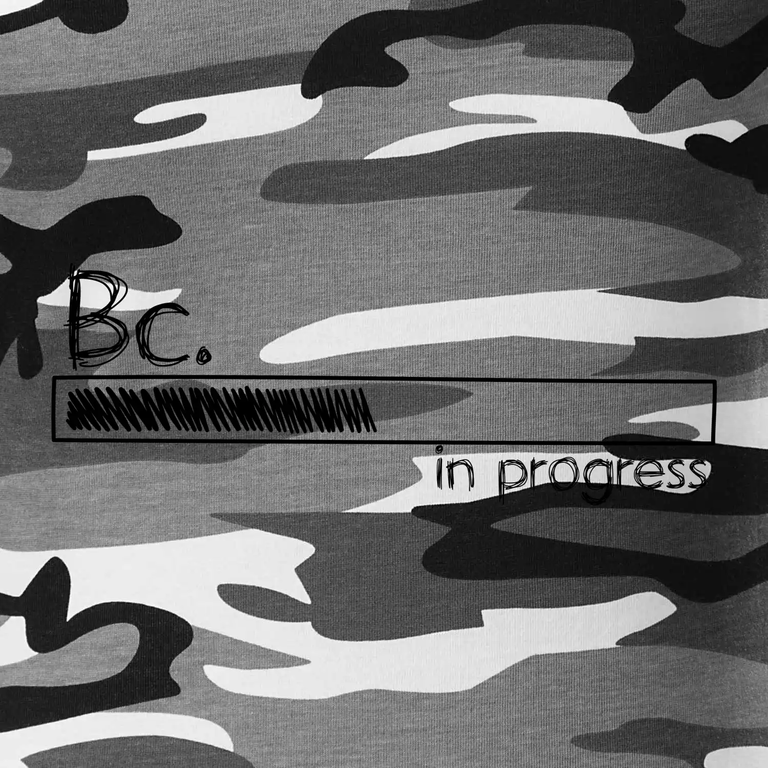 In progress  titul Bc. bakalář / bakalářka