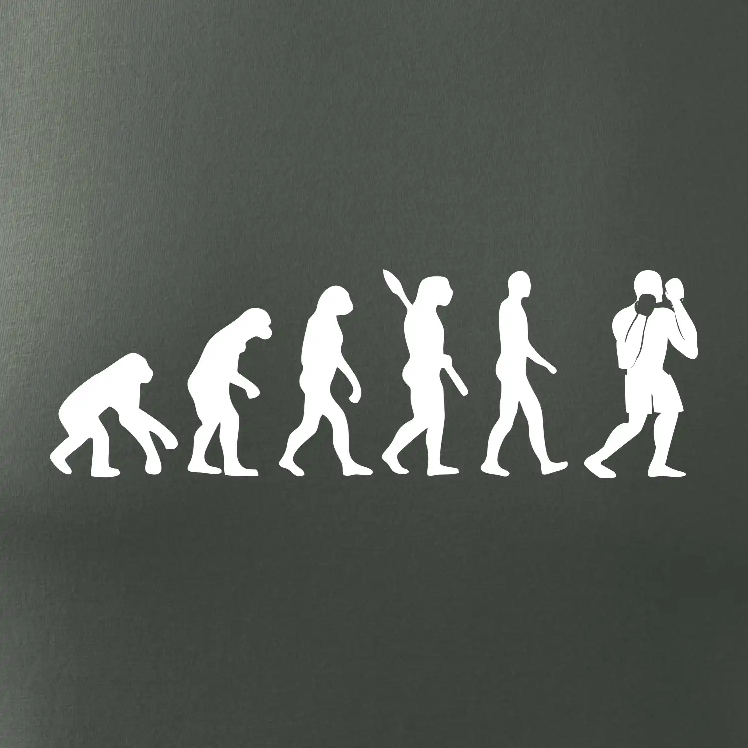 Evoluce box
