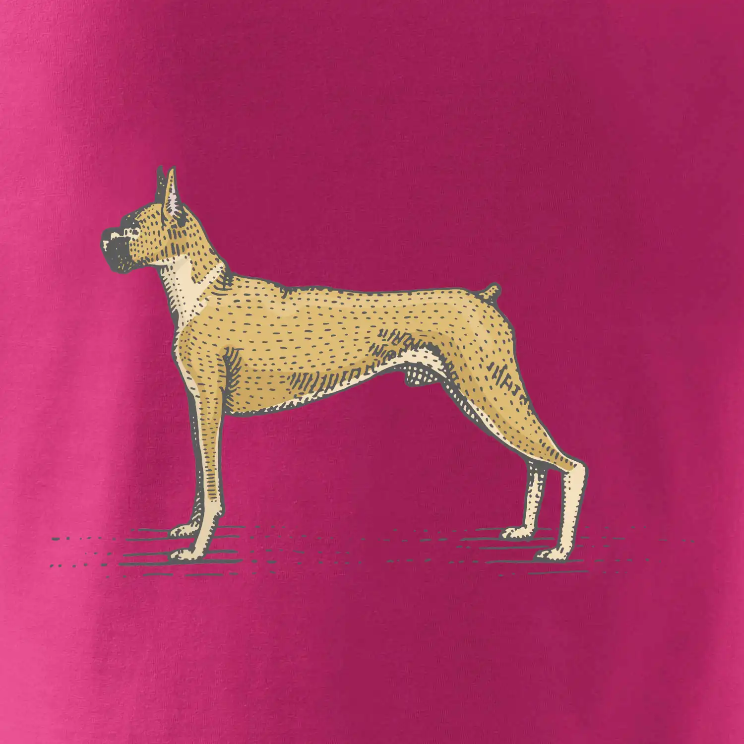 Vintage Boxer