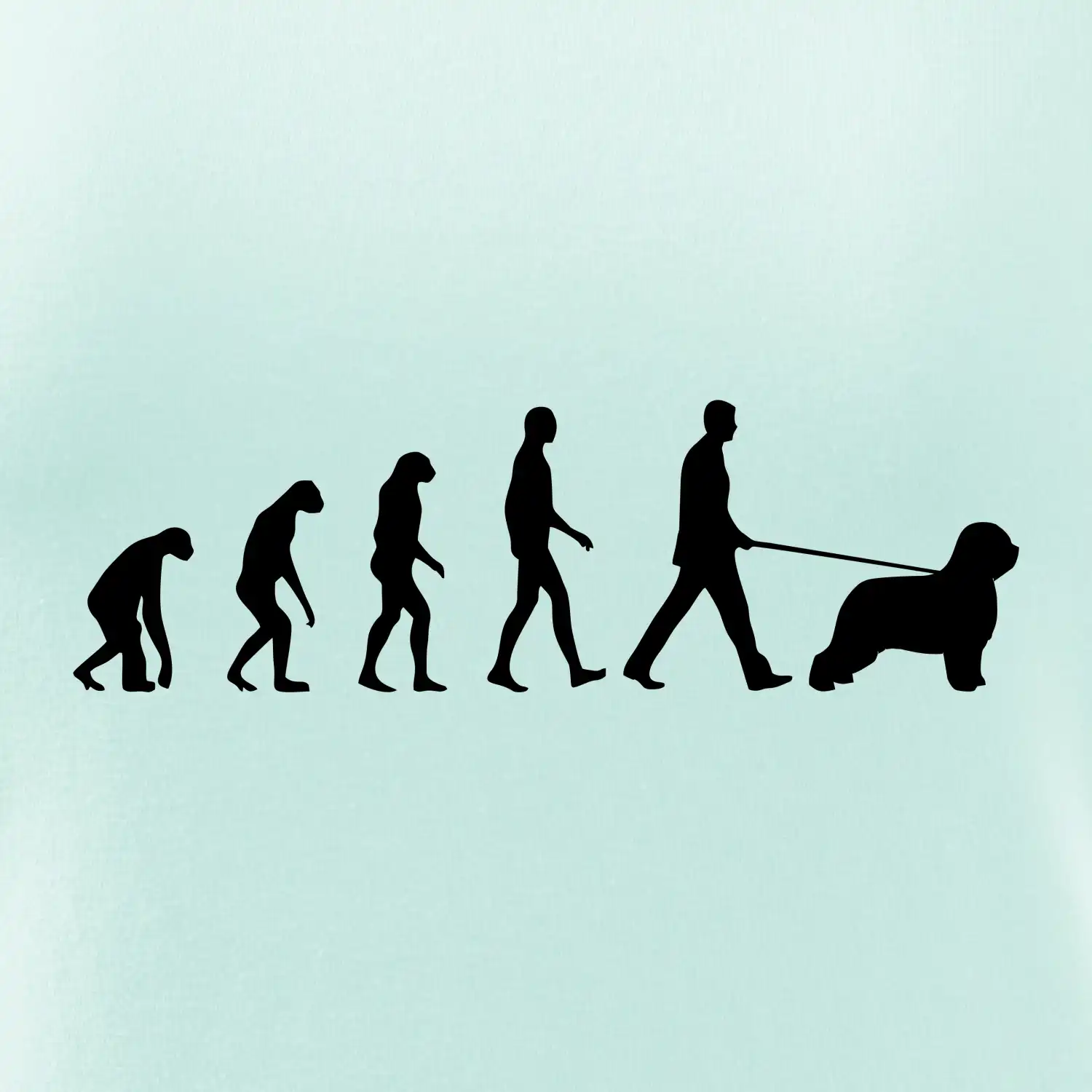 Evoluce pes Briard