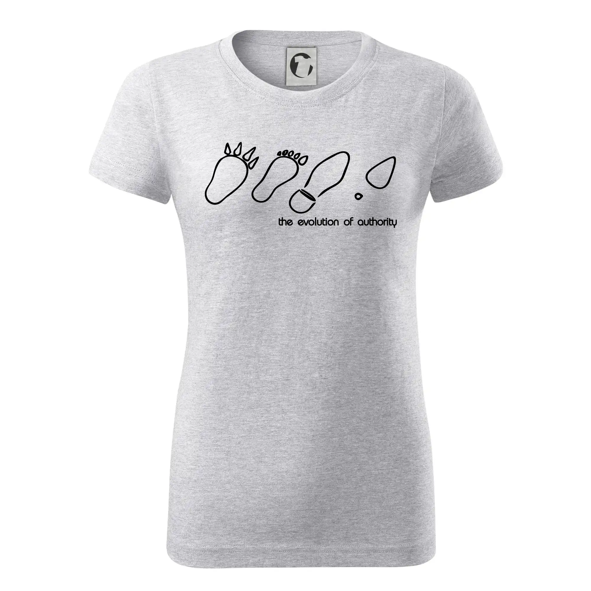 Evolution of authority