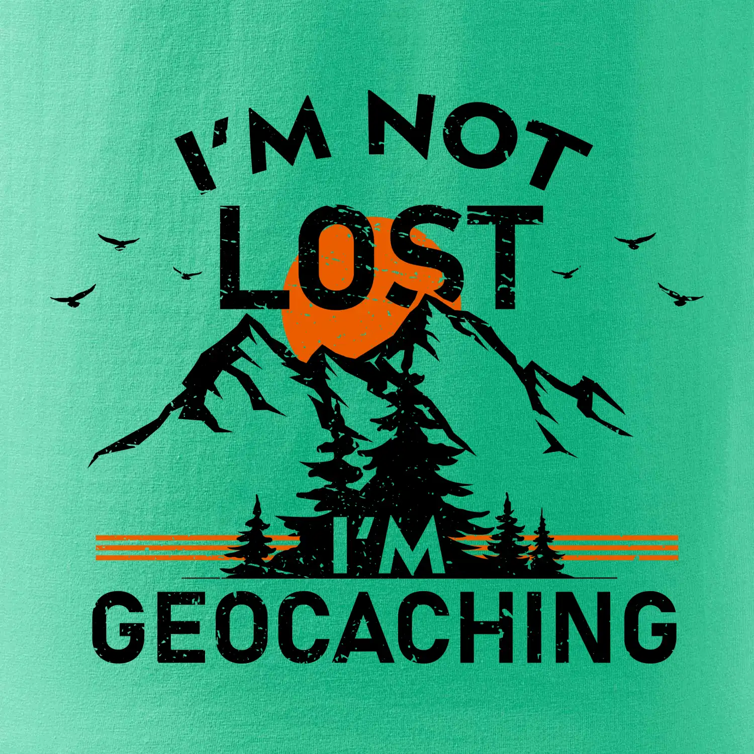 Im not lost - geocaching