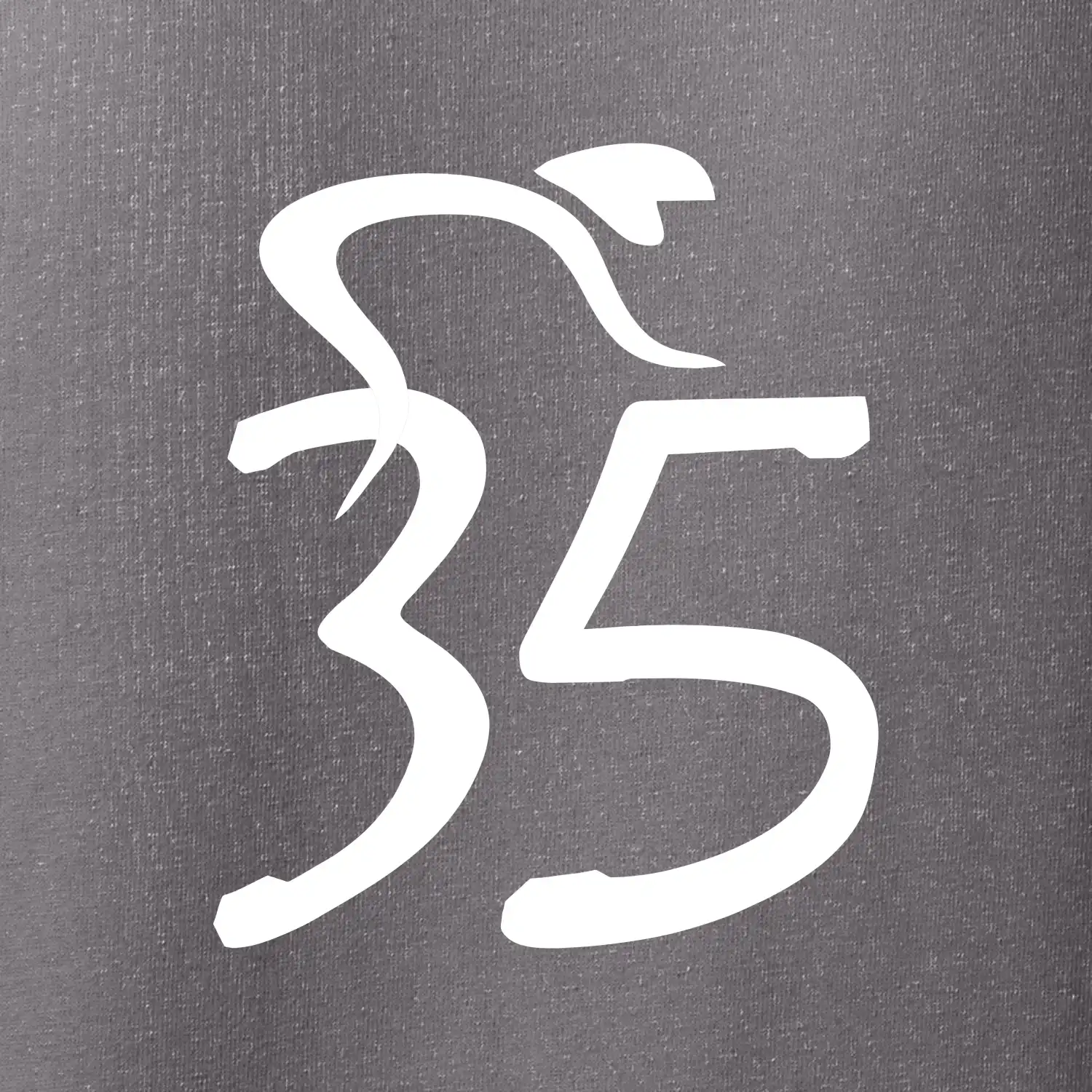 Cyklista slaví pětatřicítku (35)