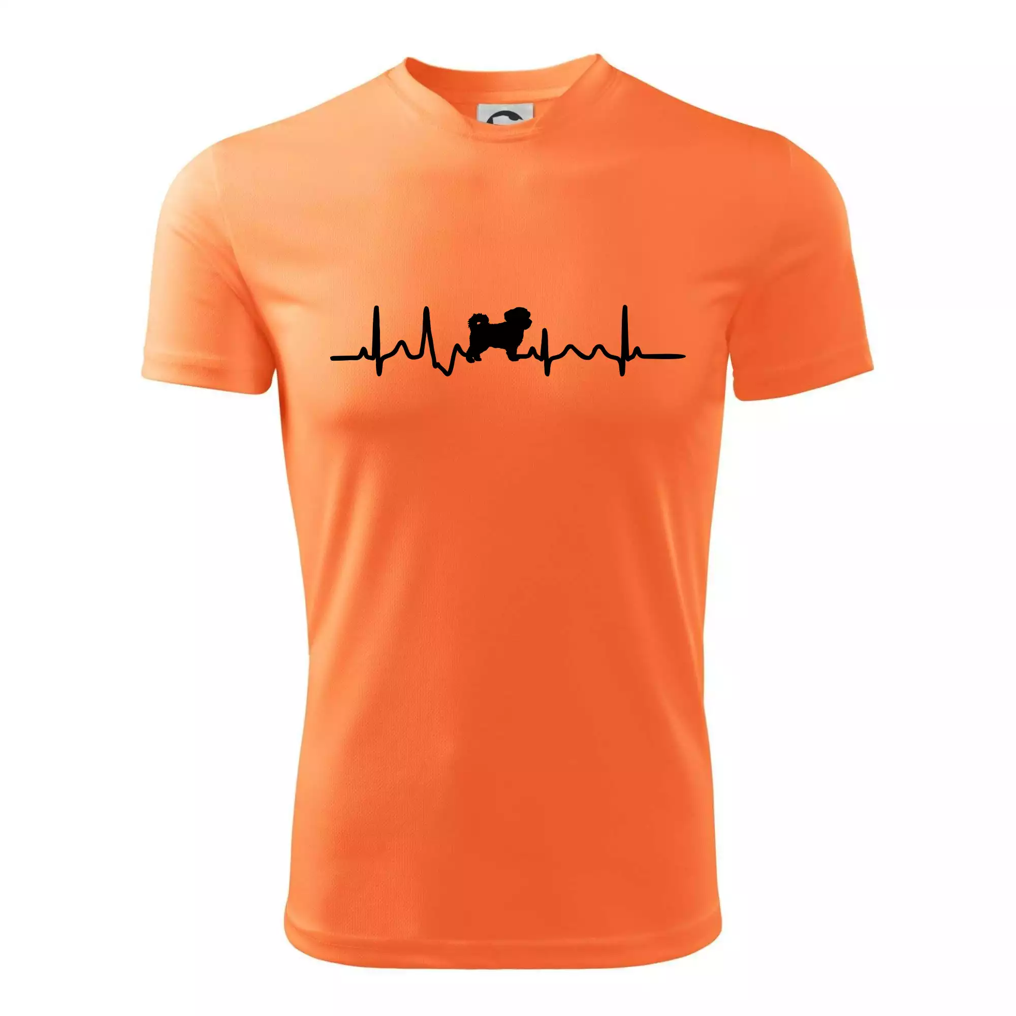 Havanský psík ekg