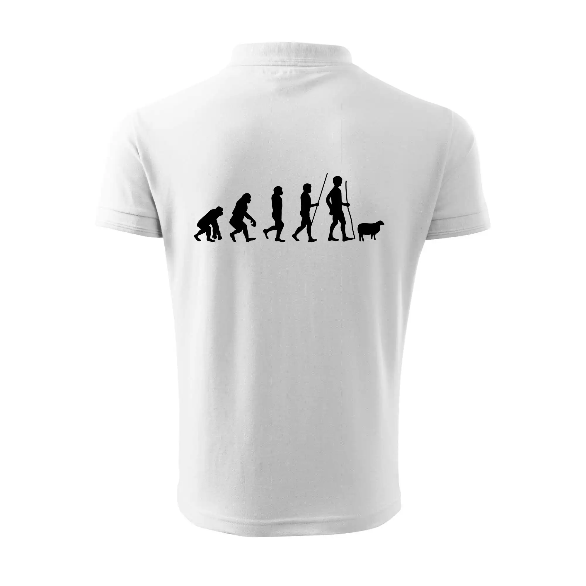 Evoluce pastevec ovcí