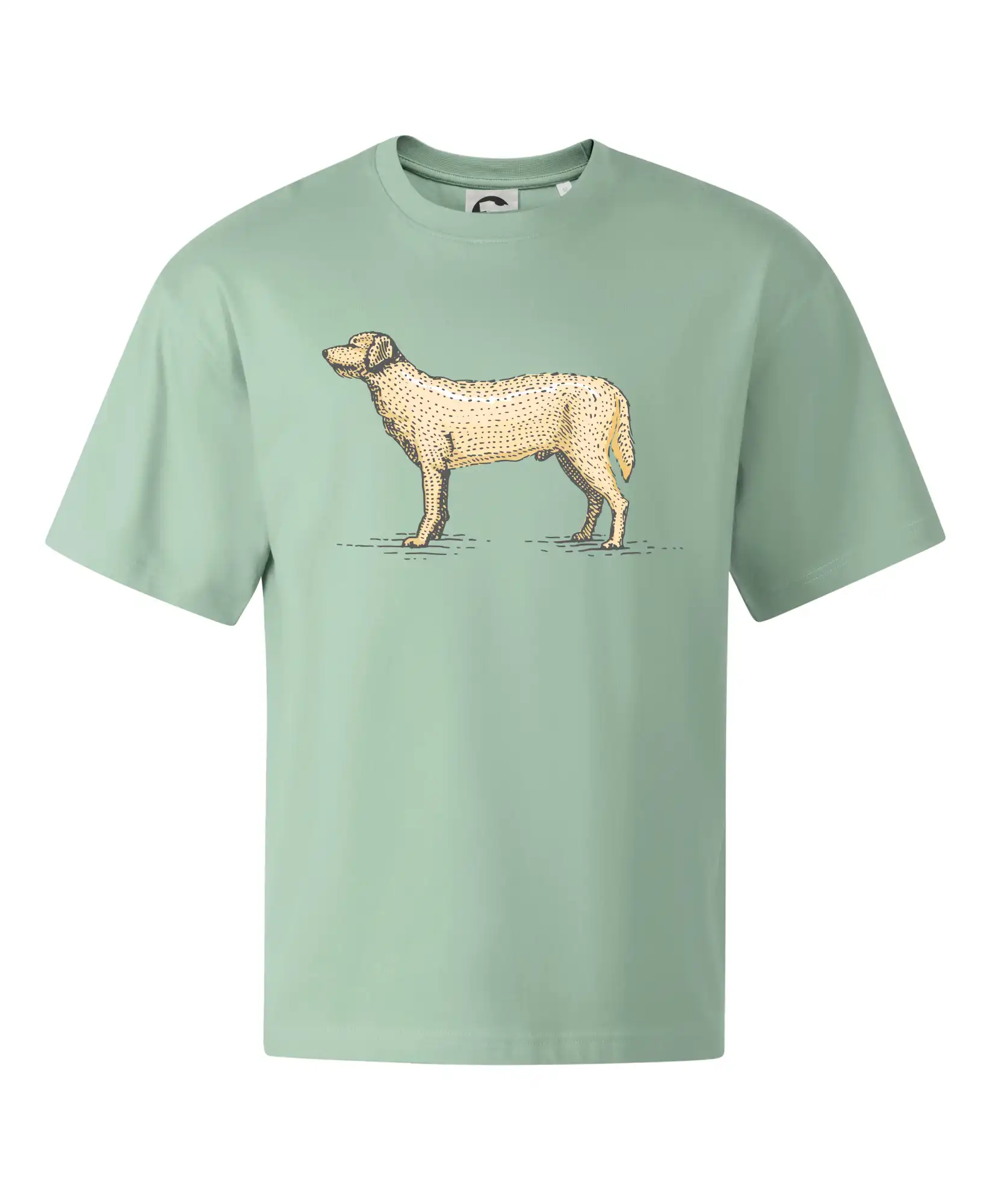 Vintage Labrador