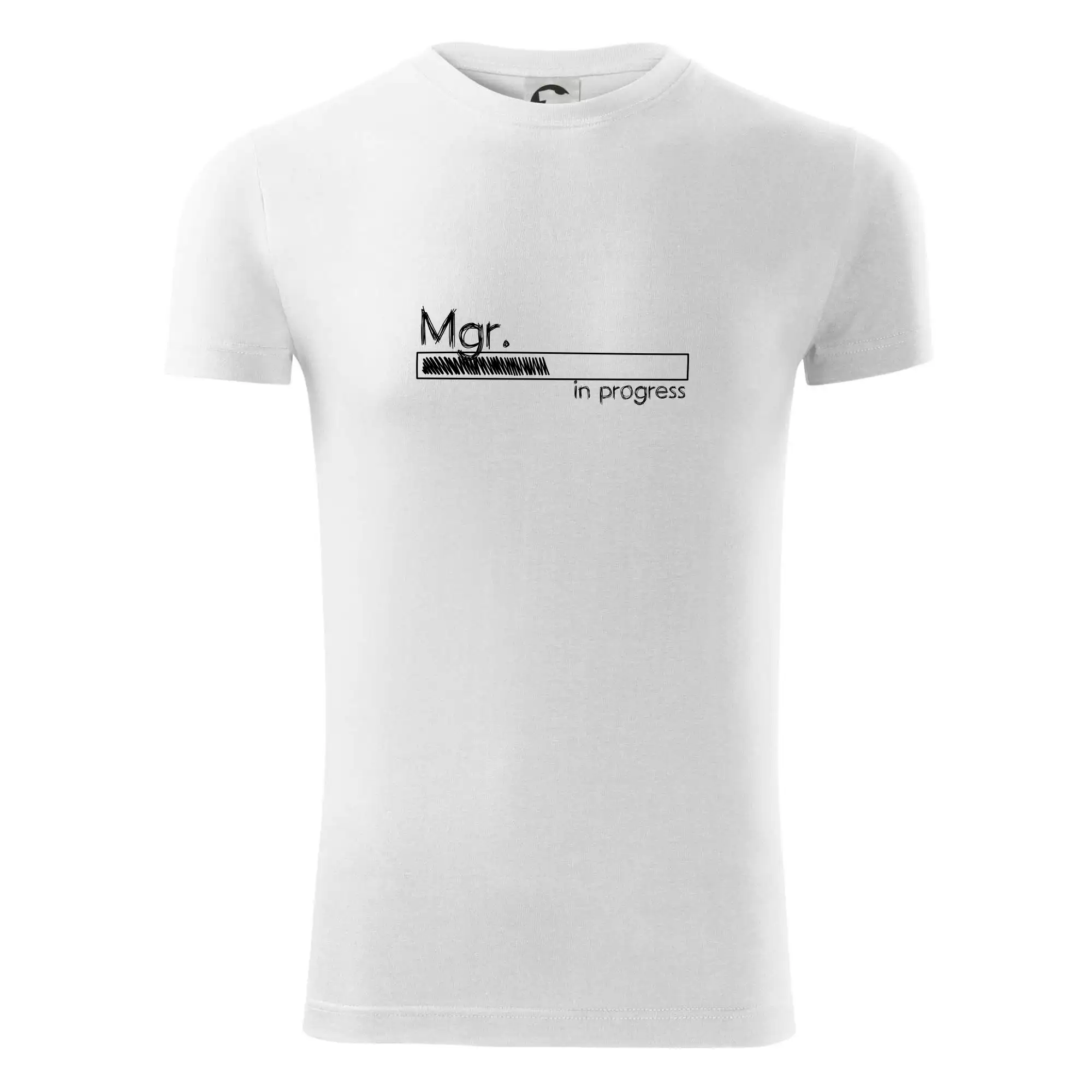 In progress titul Mgr.  magistr / magistra