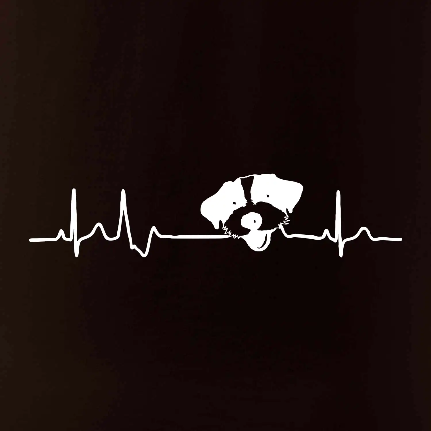 Jack Russell Terriér hrubosrstý Ekg