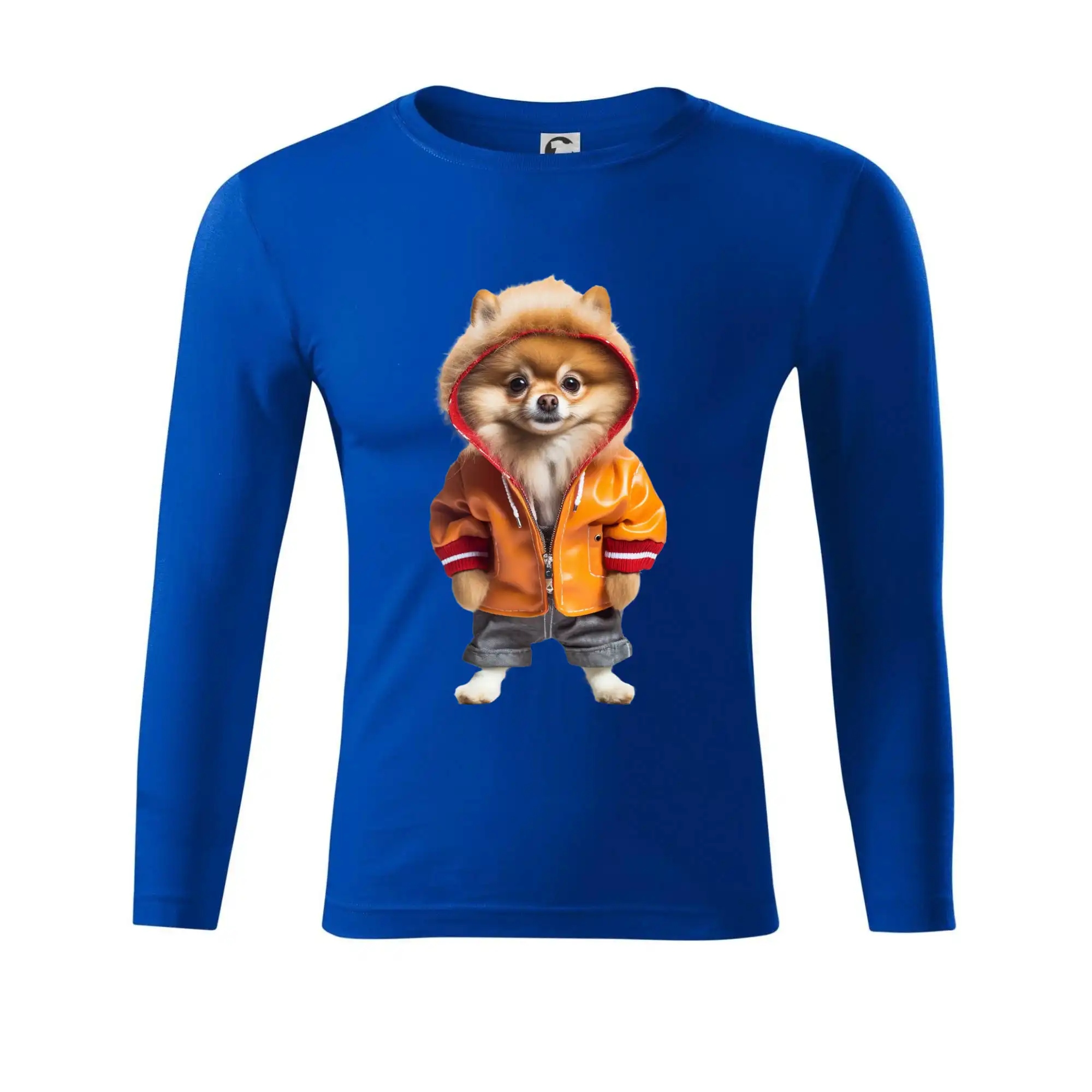 Pomeranian v bundě