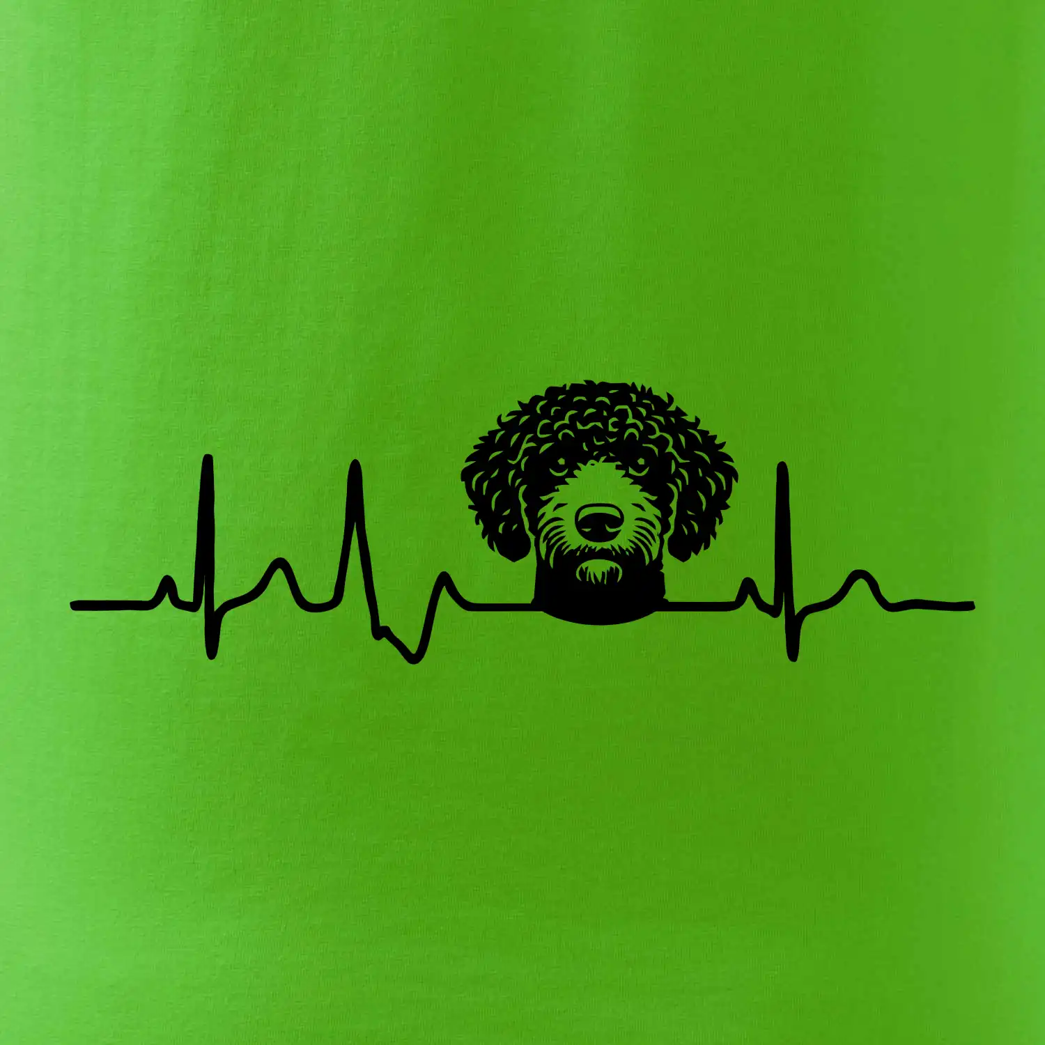 Lagotto romagnolo hlava EKG