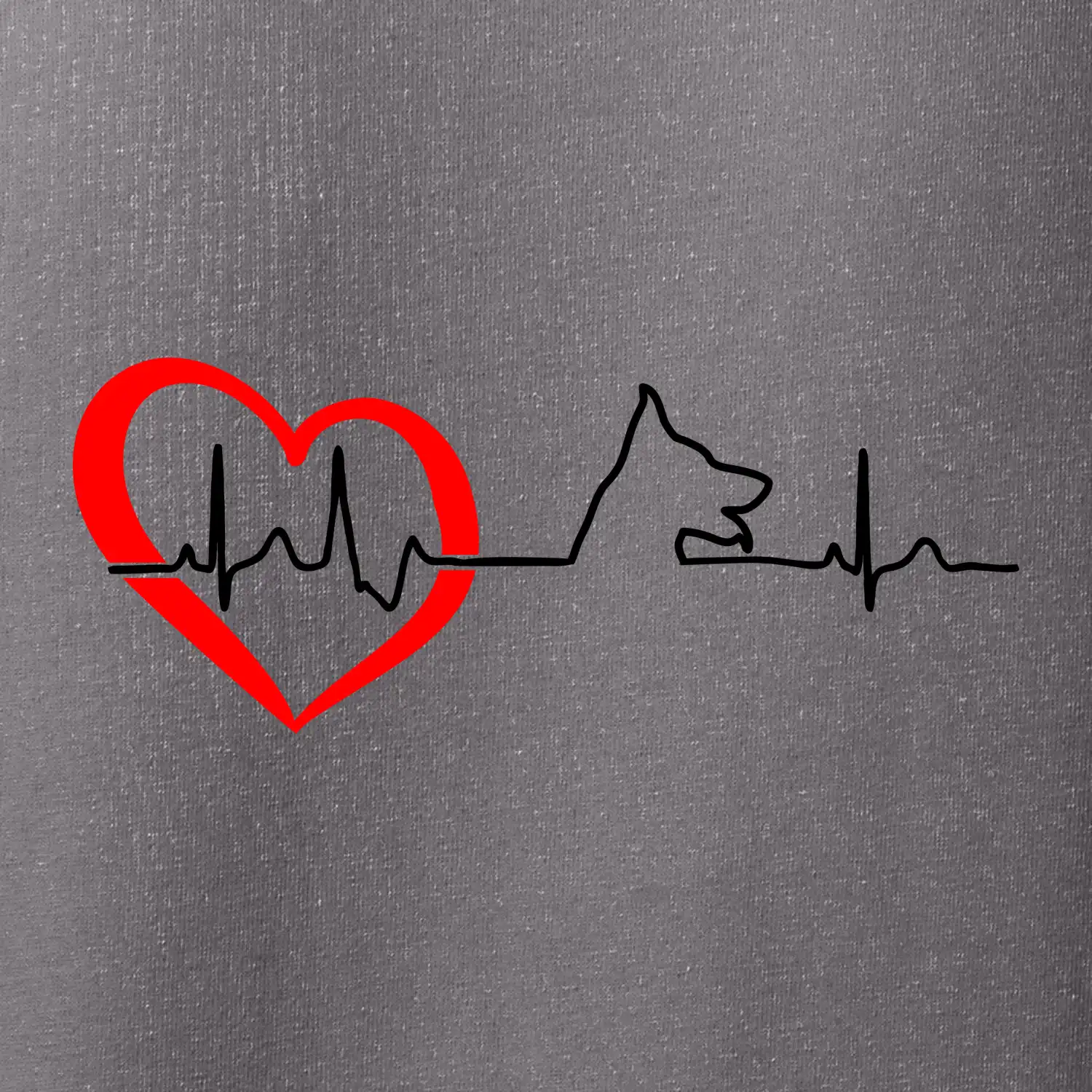 Německý ovčák ekg