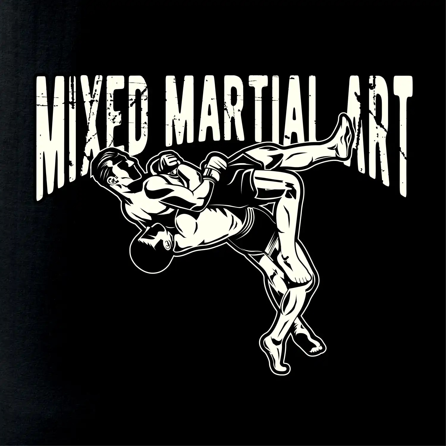 MMA v boji