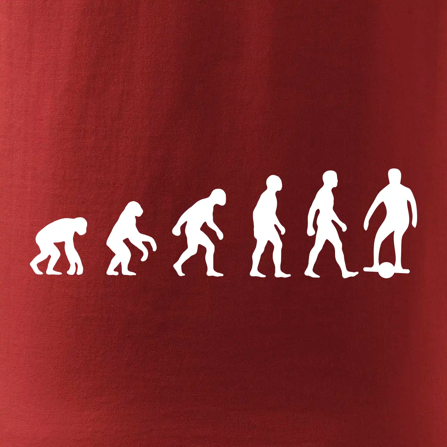 Evoluce onewheel