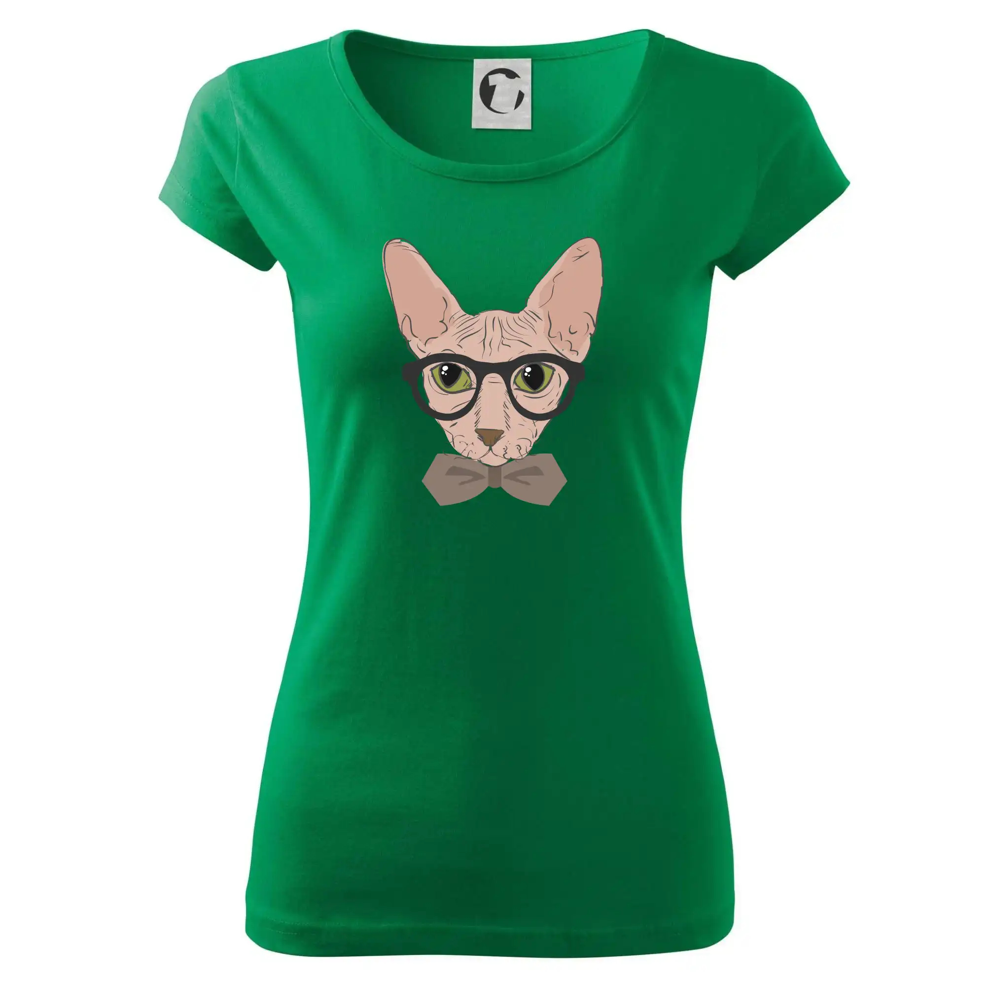 Hipster sphynx