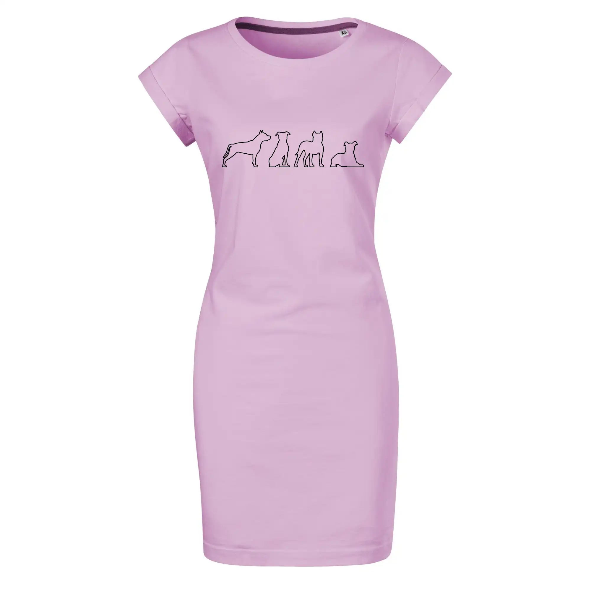 Americký stafordširský teriér v různých pozicích