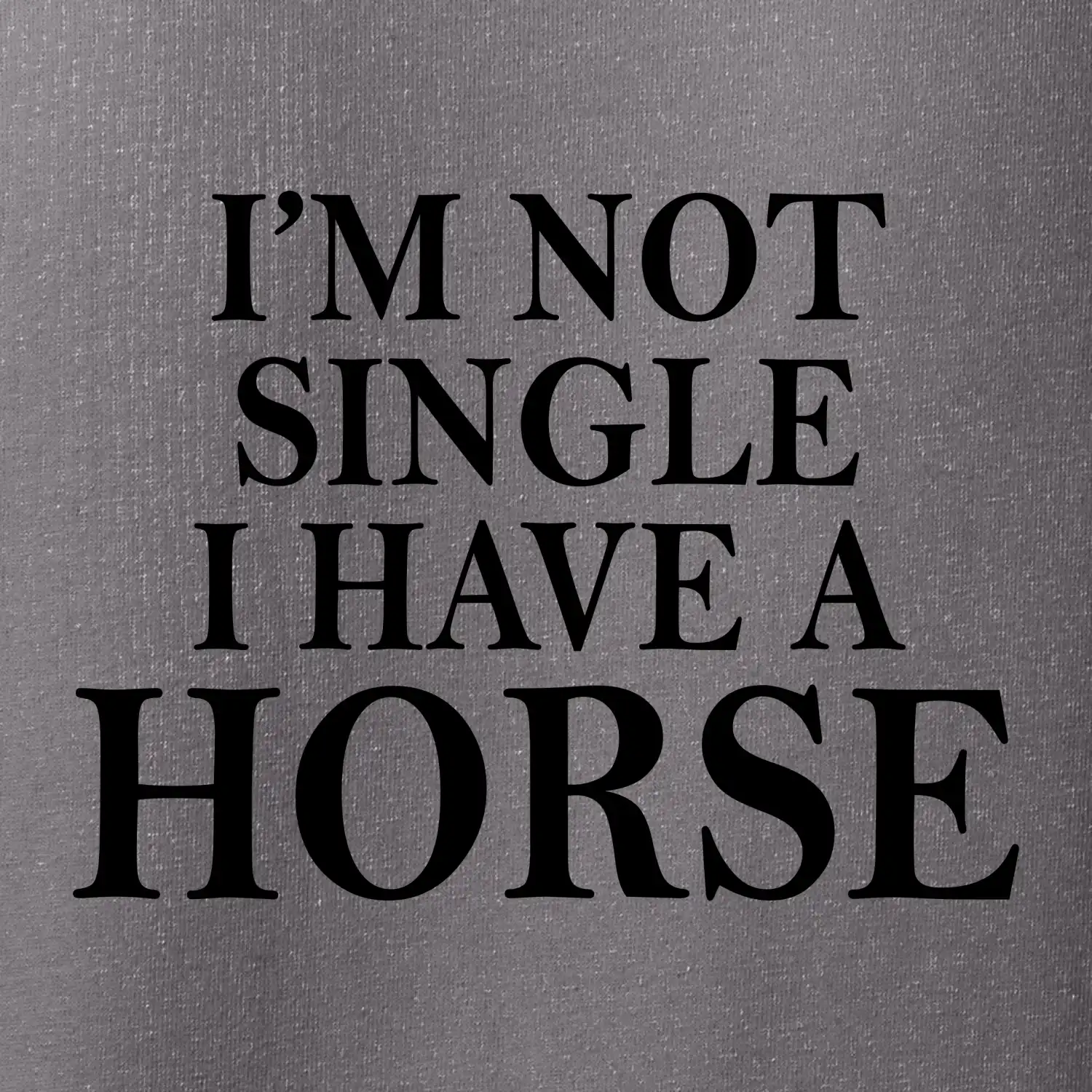 I have a horse - Nepotřebuji přítele