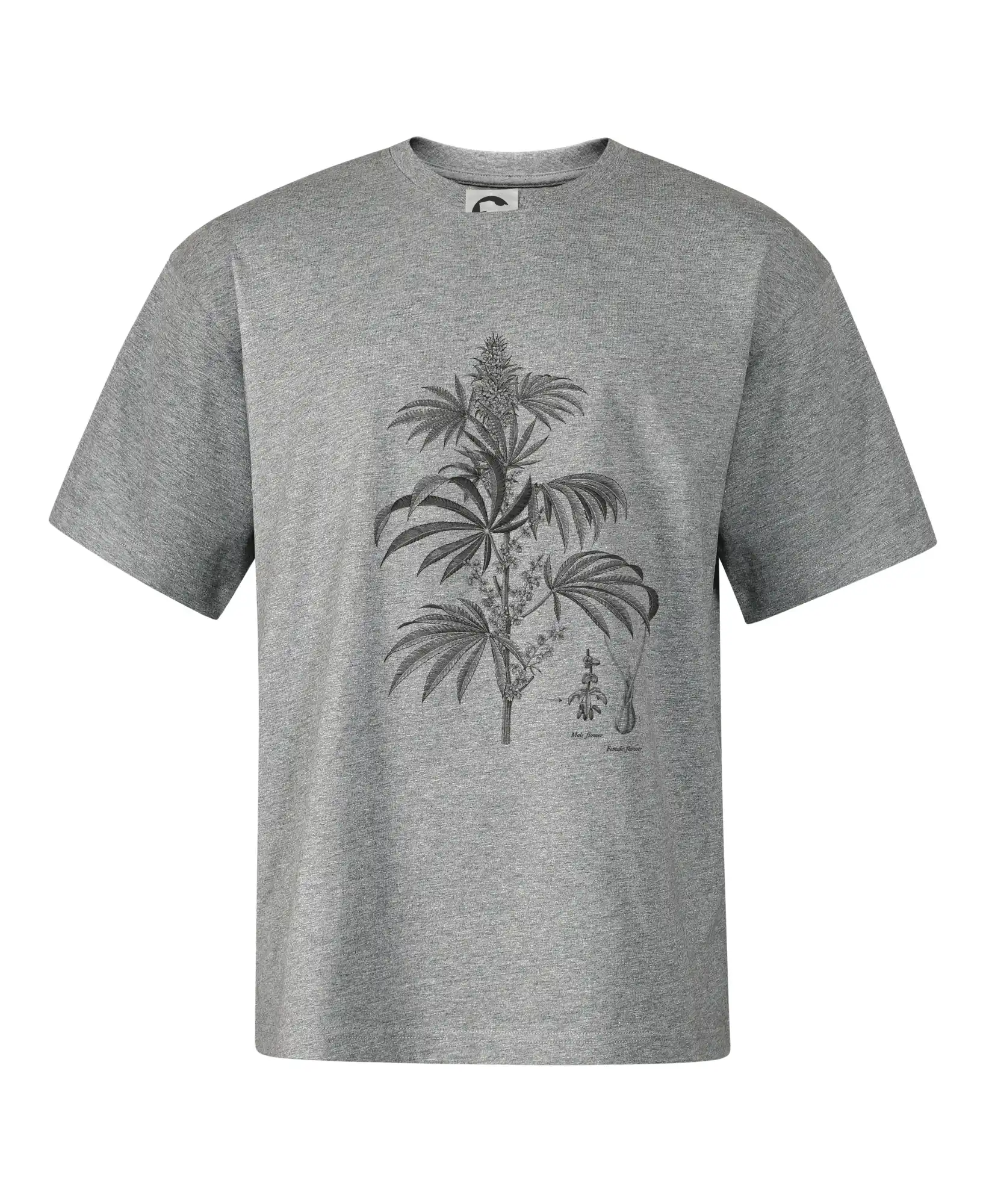 Konope kvietok čiernobiely  