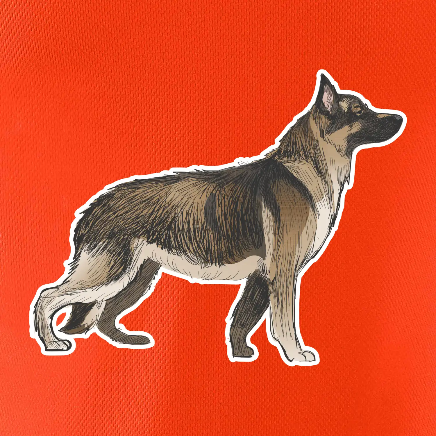 Německý ovčák - hnědý kreslený