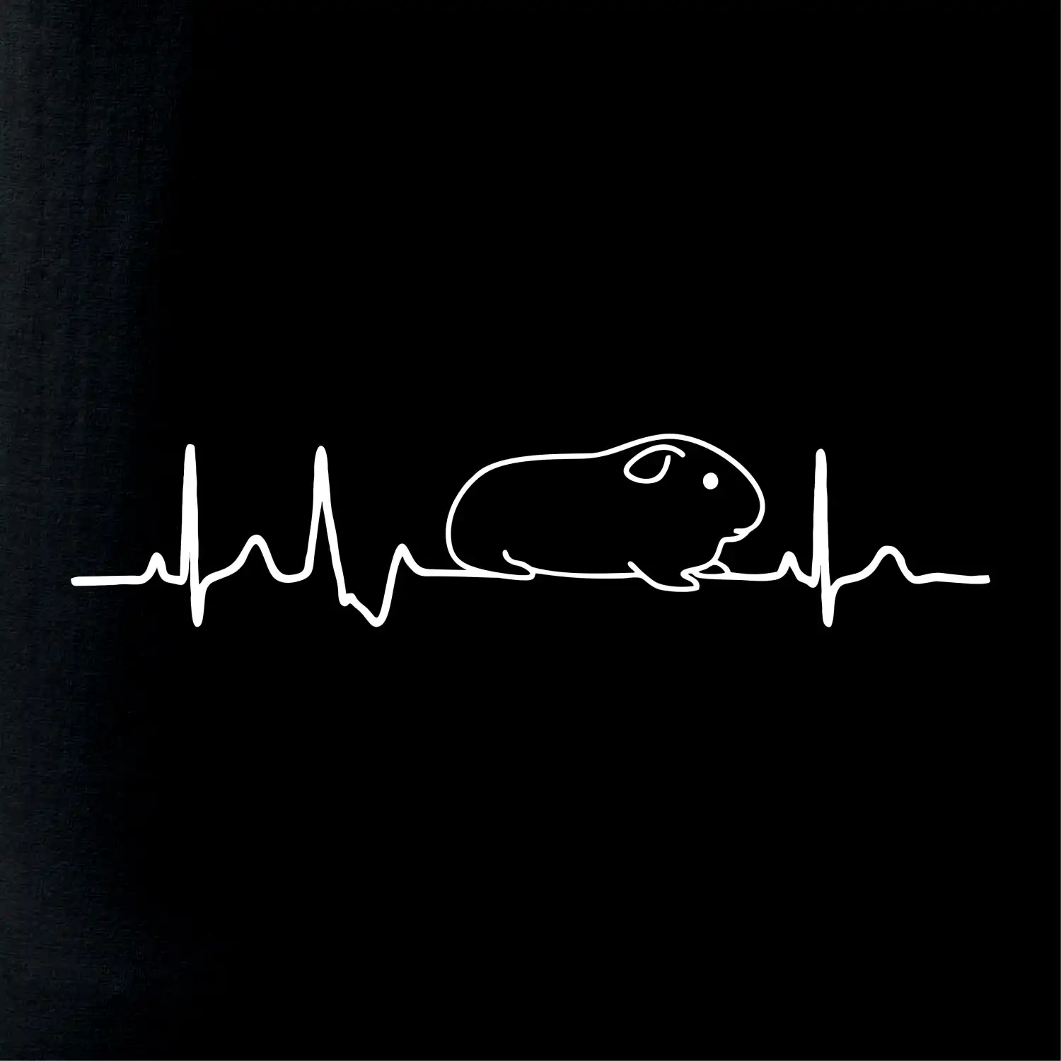 EKG morče