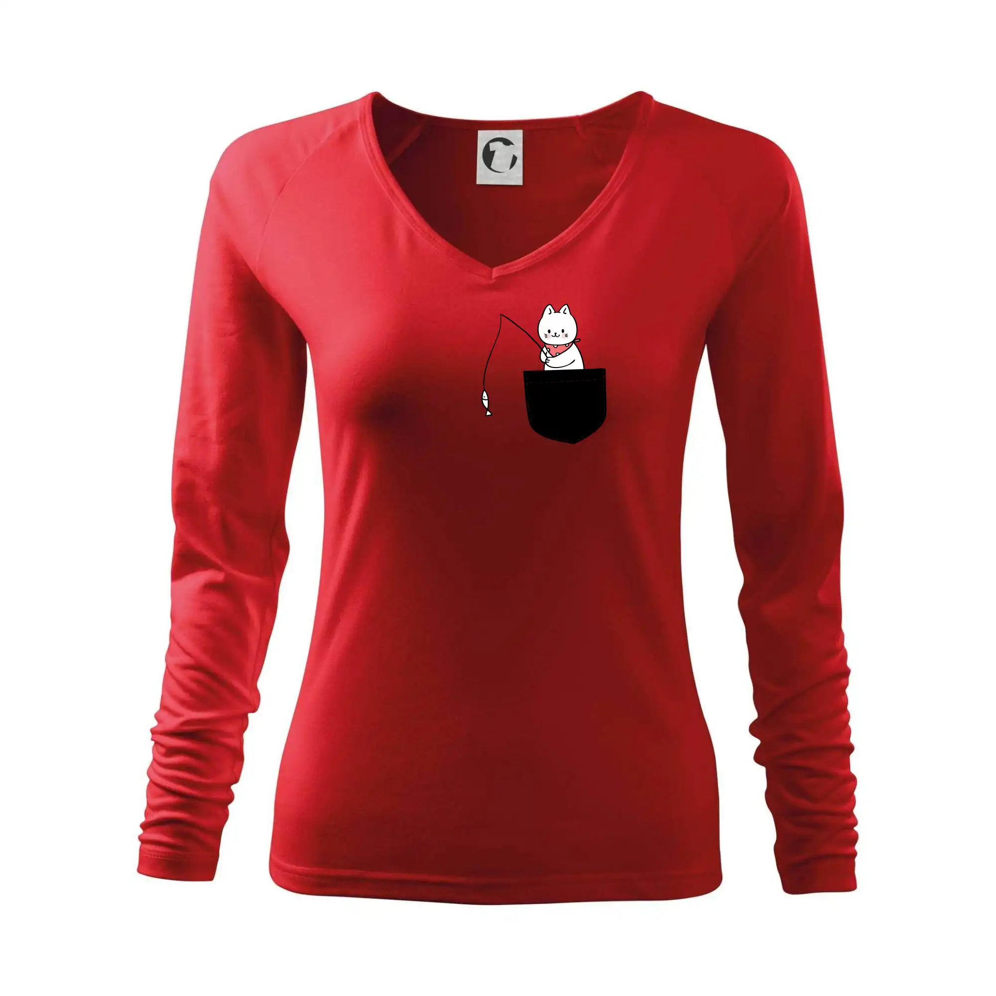 Kočka s rybou v kapse