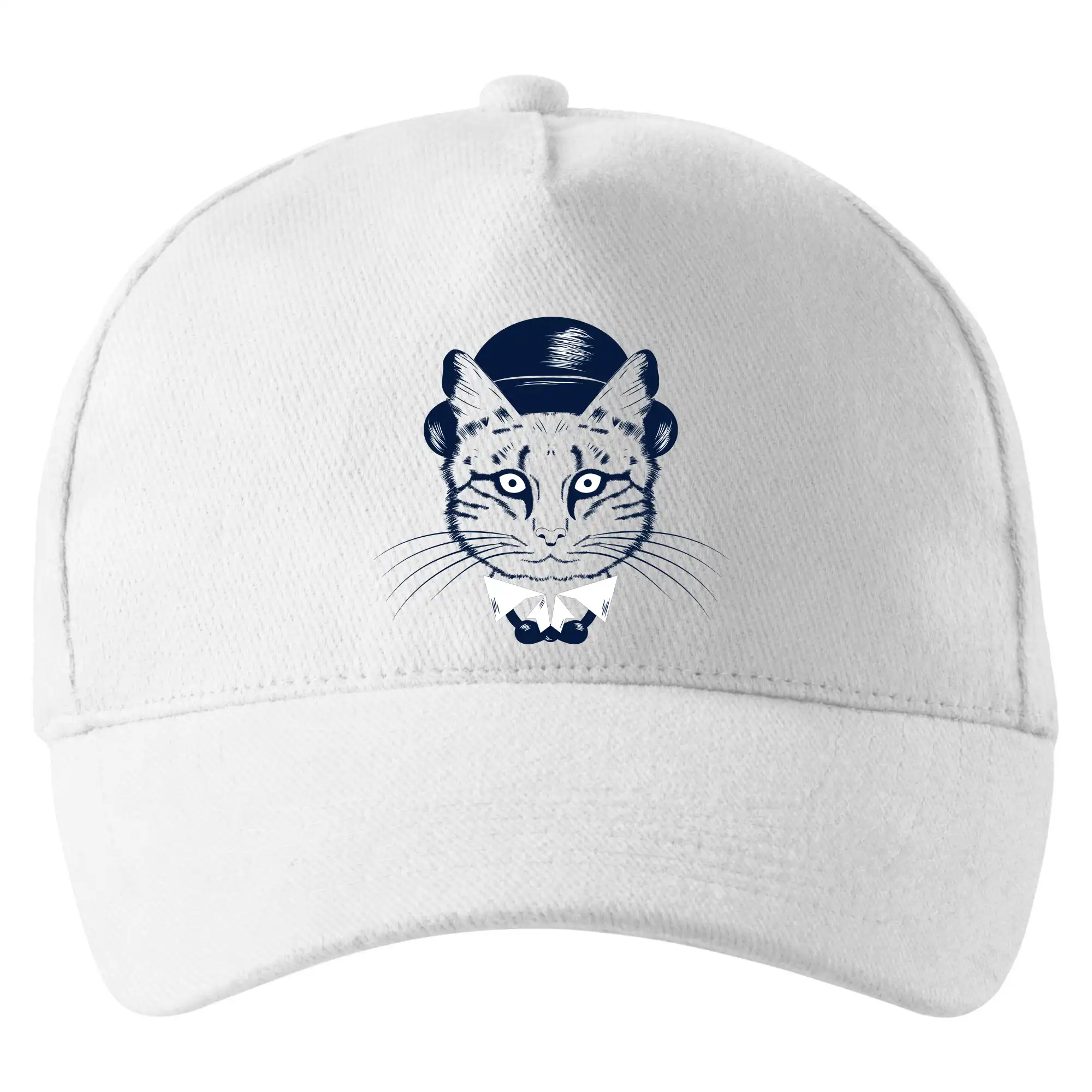 Kočka hipster s kloboukem