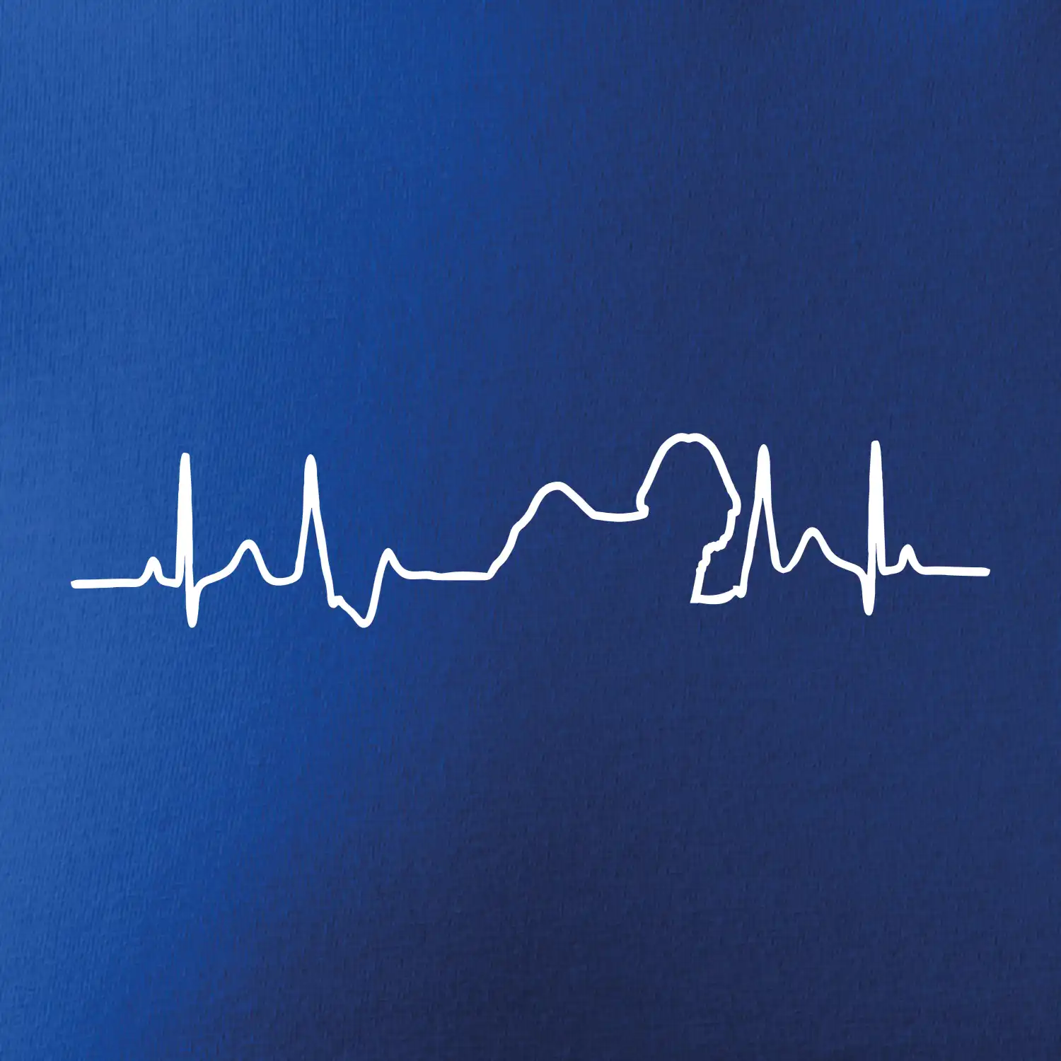 Shih-tzu ekg obrys