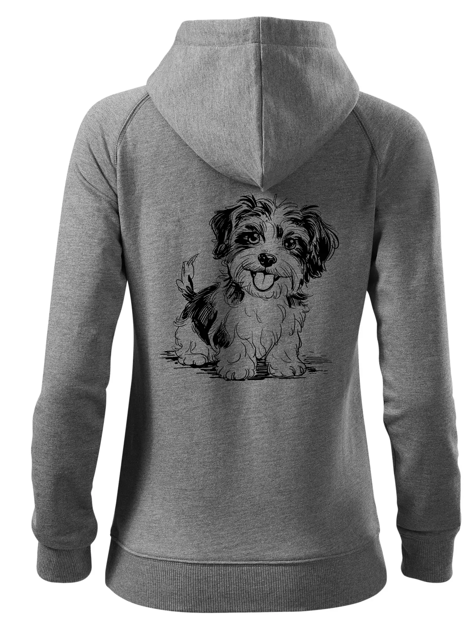 Havanský psík skica