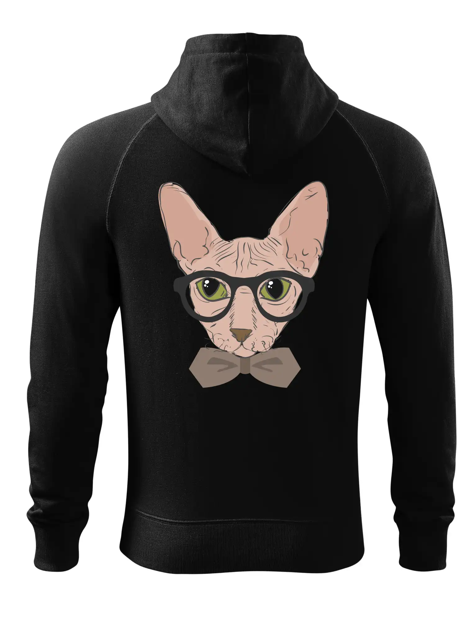Hipster sphynx