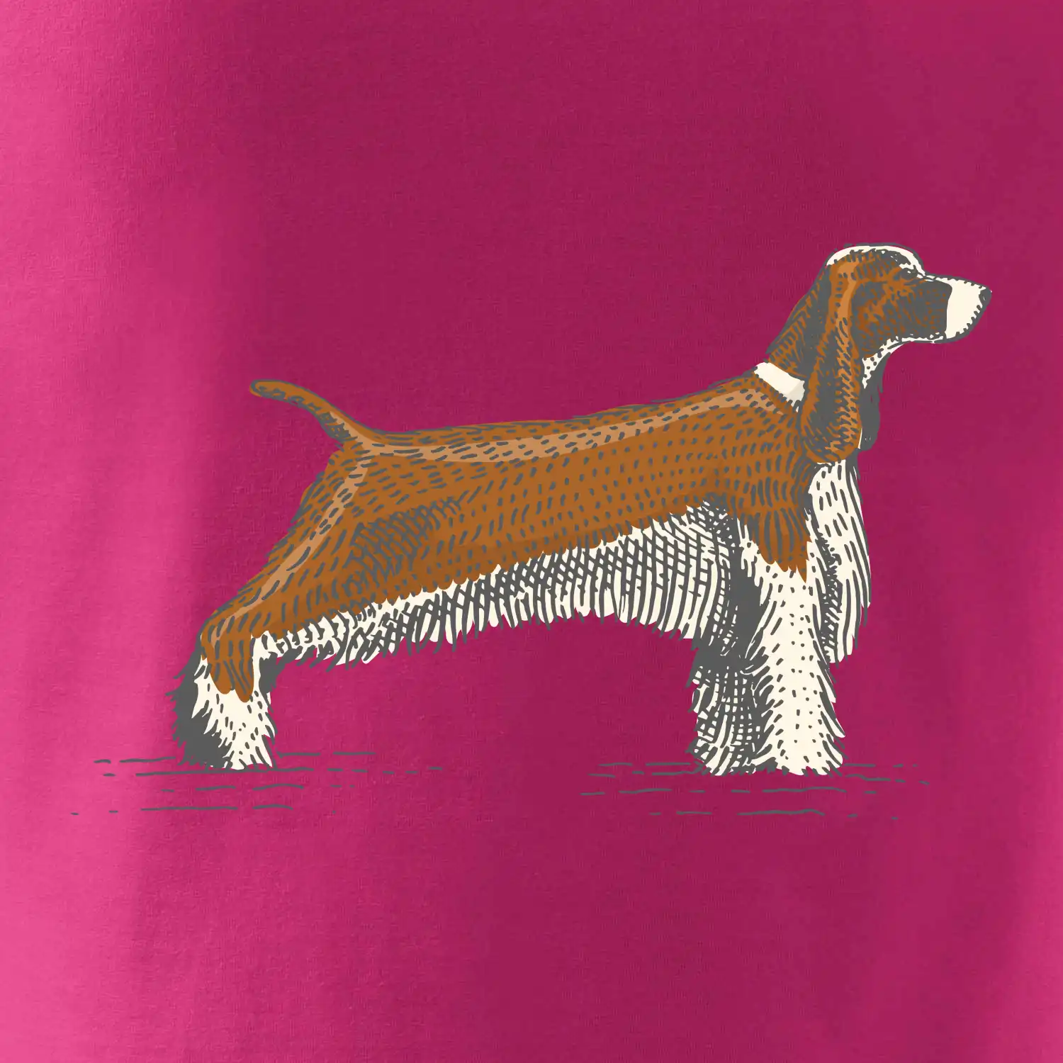 Vintage Springer spaniel