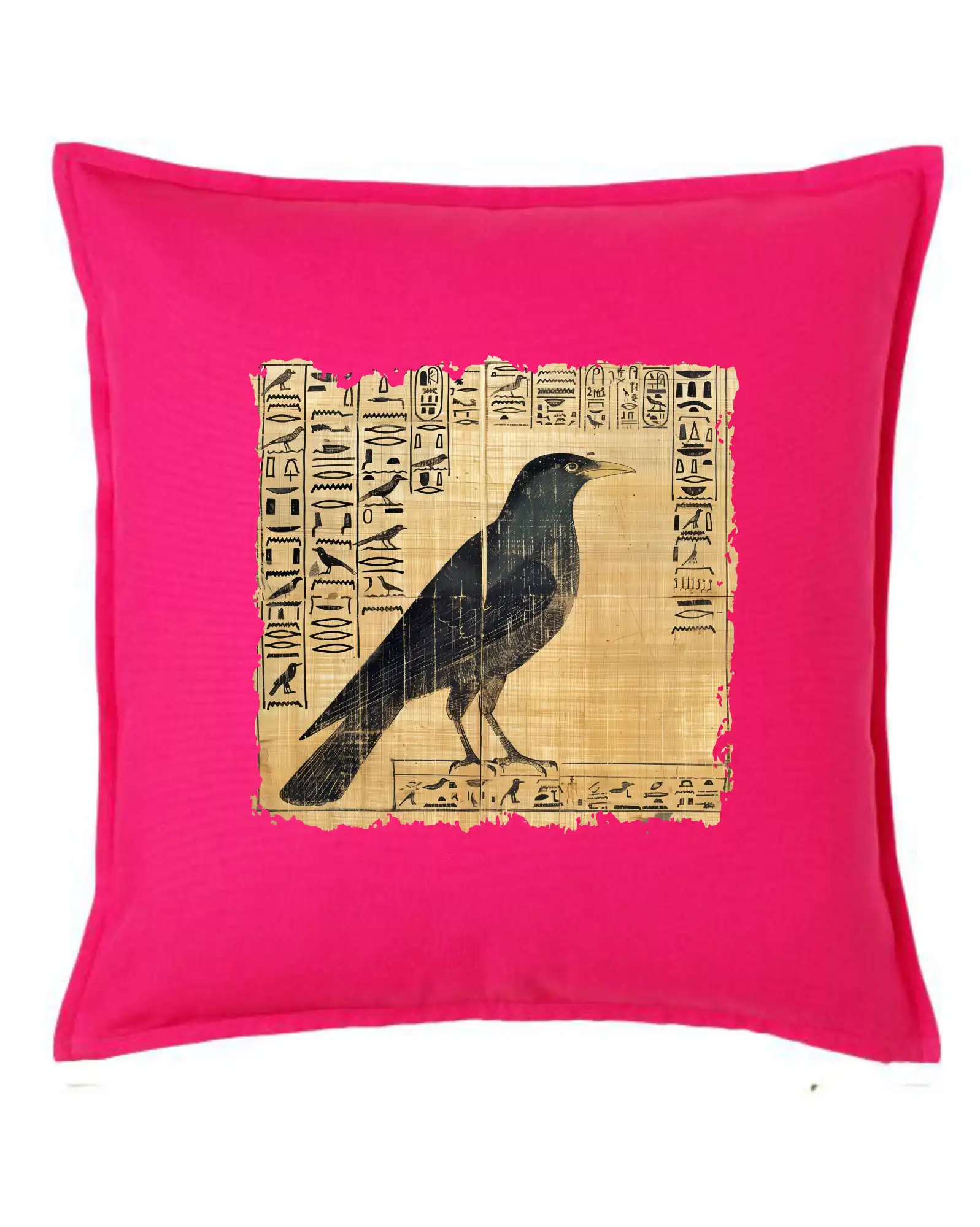 Tričko s motívmi vtákov - Egyptské hieroglyfy vták - Vankúš 50x50
