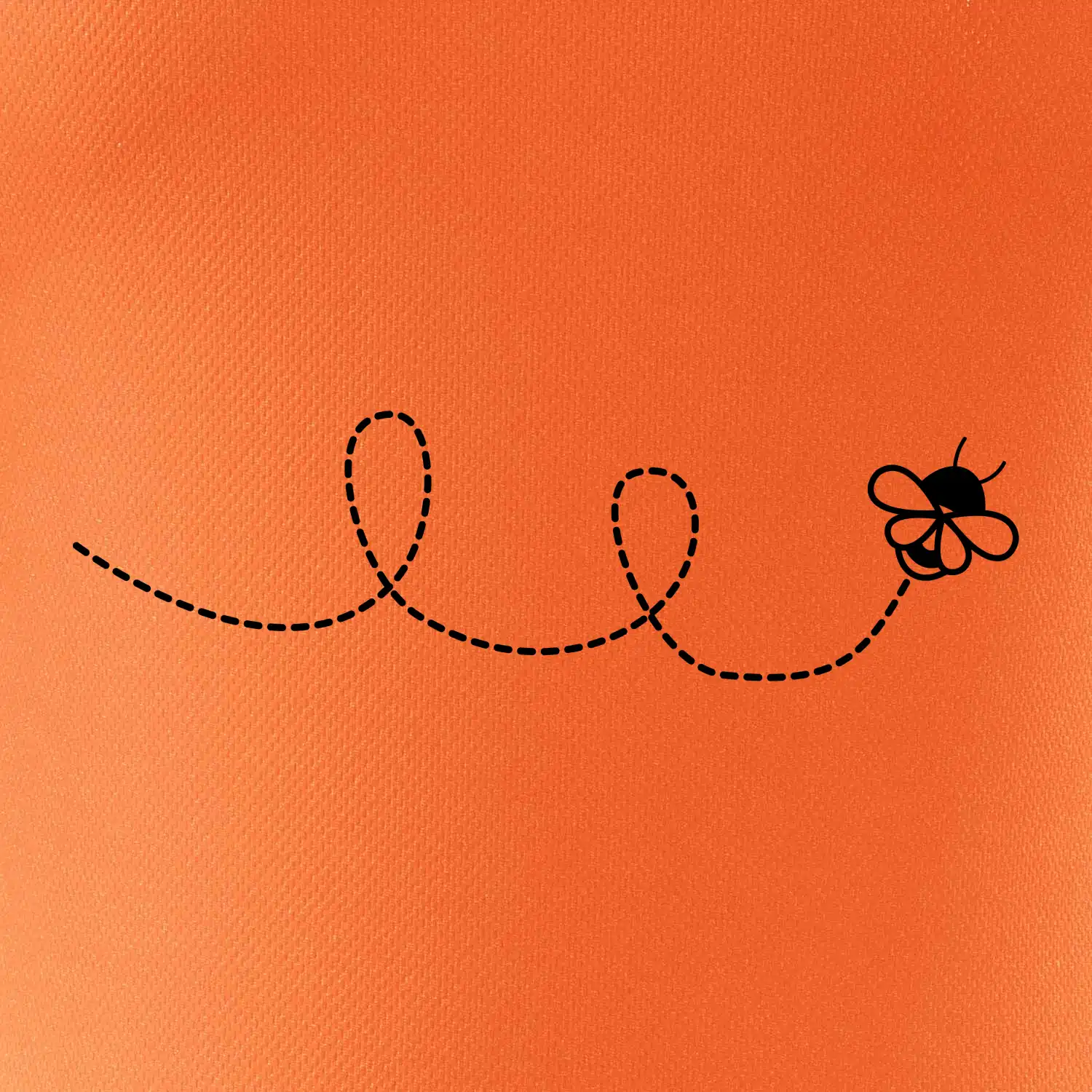 Dráha letu včely - smyčka