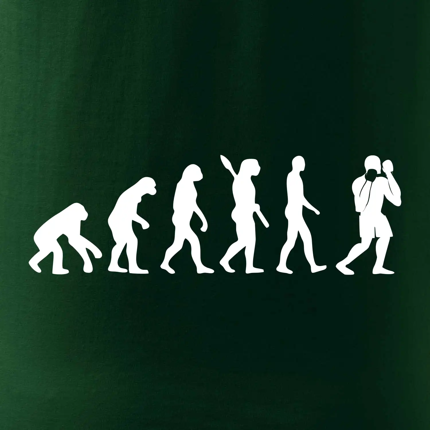Evoluce box