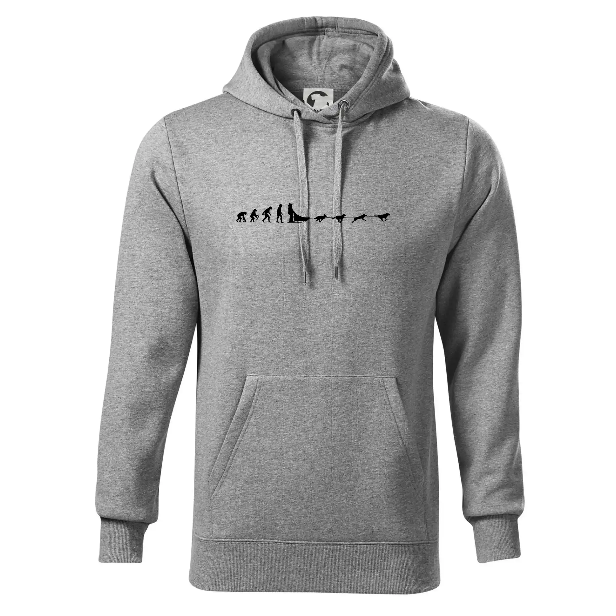 Evolúcia psie záprahy