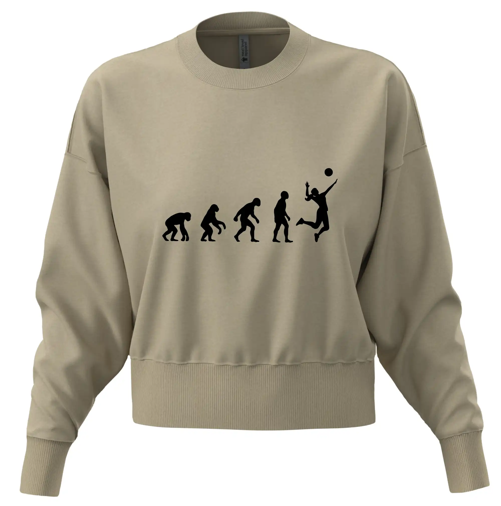 Evoluce volejbal culík