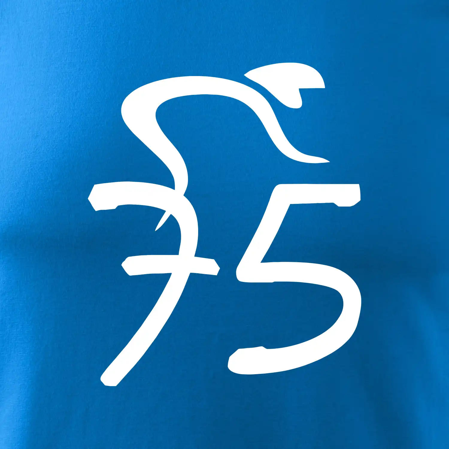 Cyklista slaví pětasedmdesátku (75)