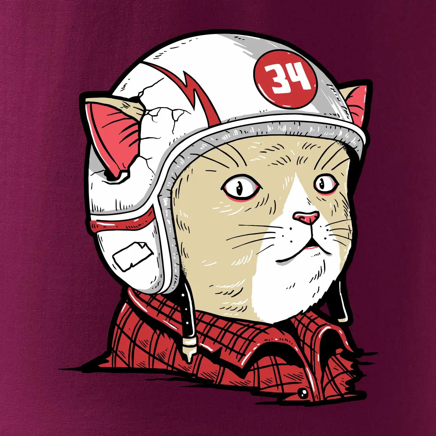 Moto kocour