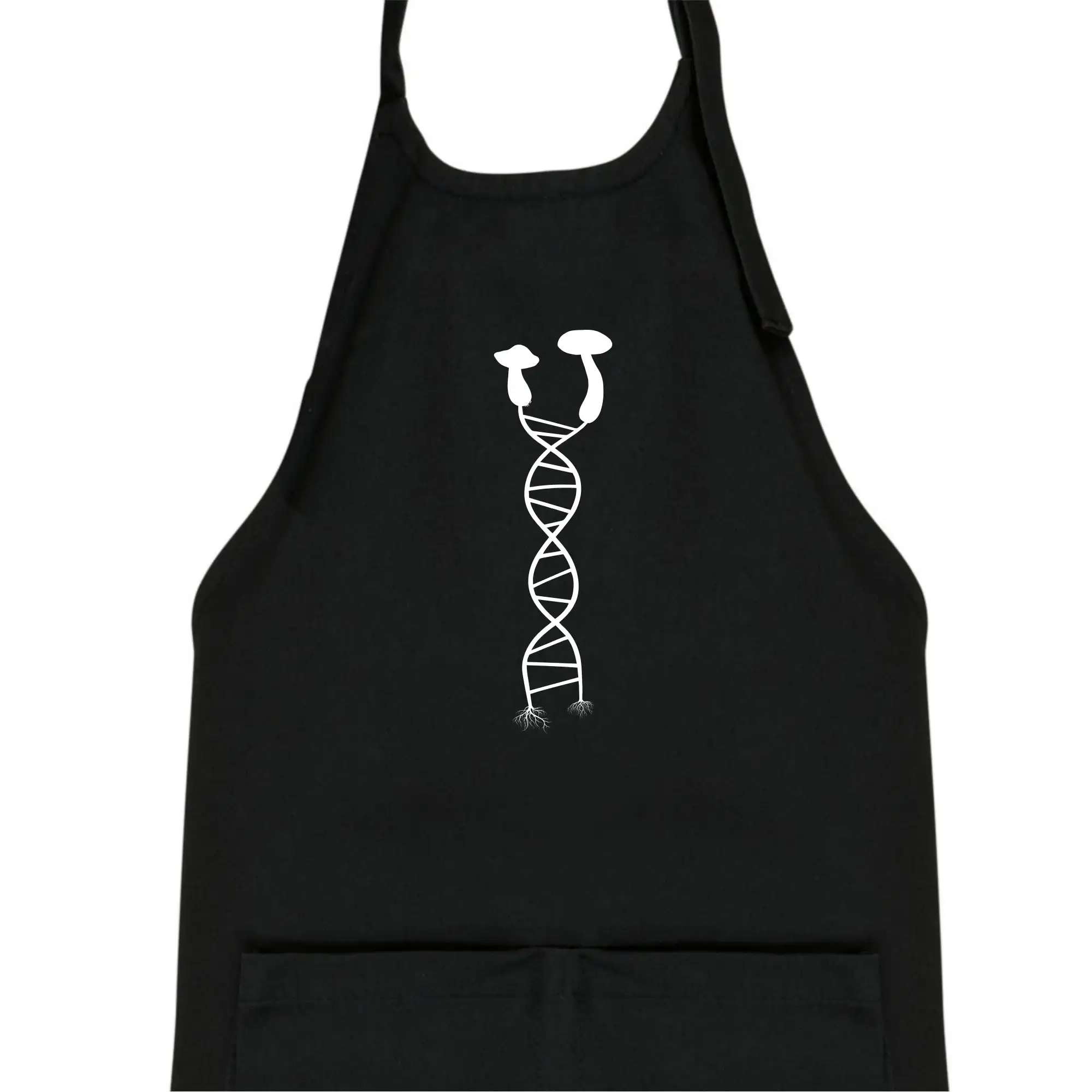 DNA houby