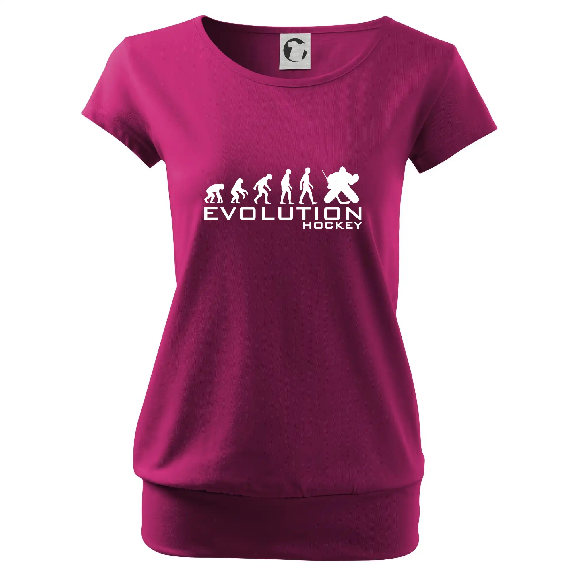 Evoluce Hockey brankář