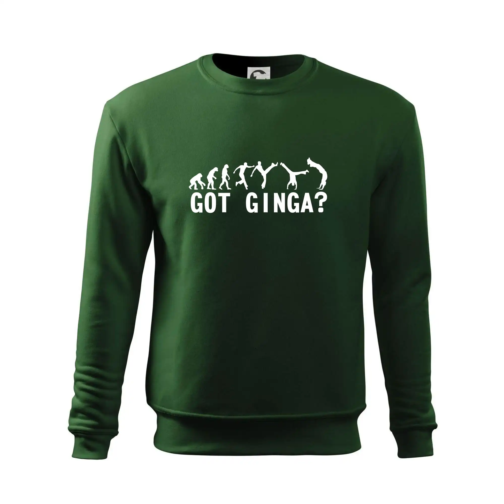 Capoeira - Got Ginga