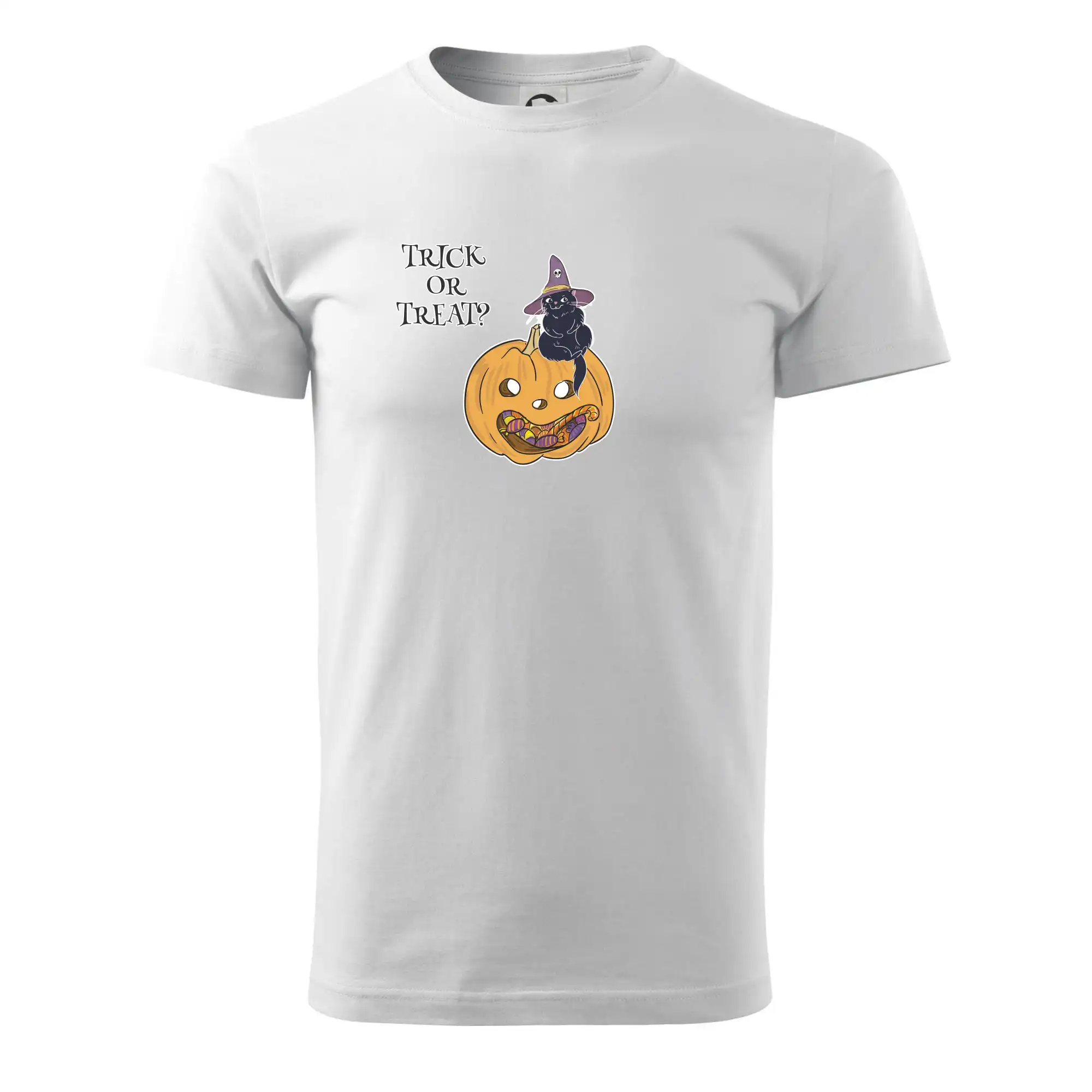 Dýně a kočka