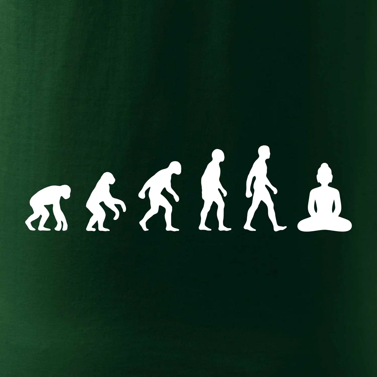 Evoluce budha