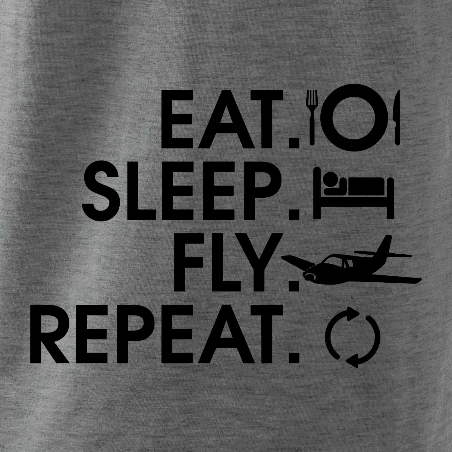Eat sleep fly repeat