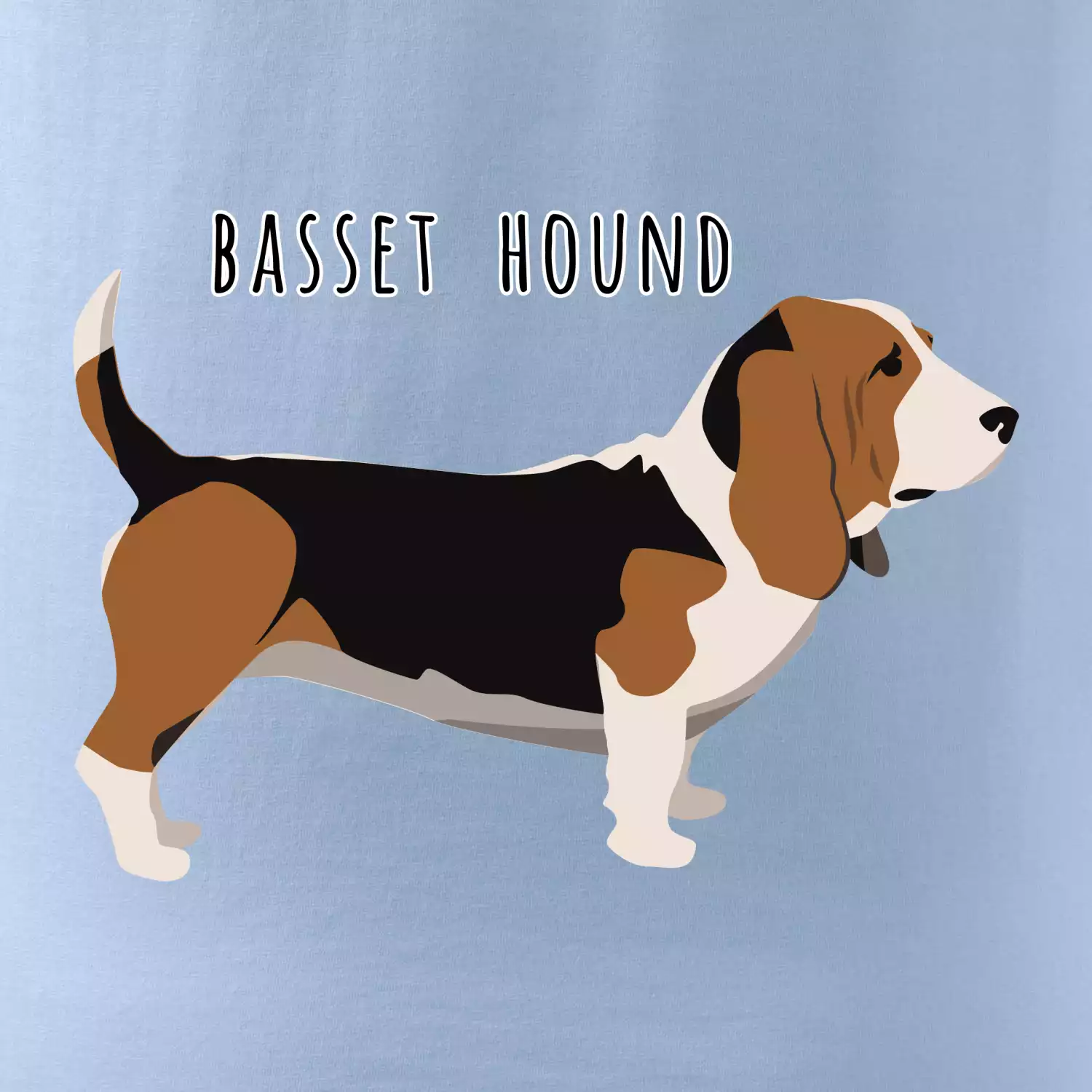 Basset hound pes s nápisem