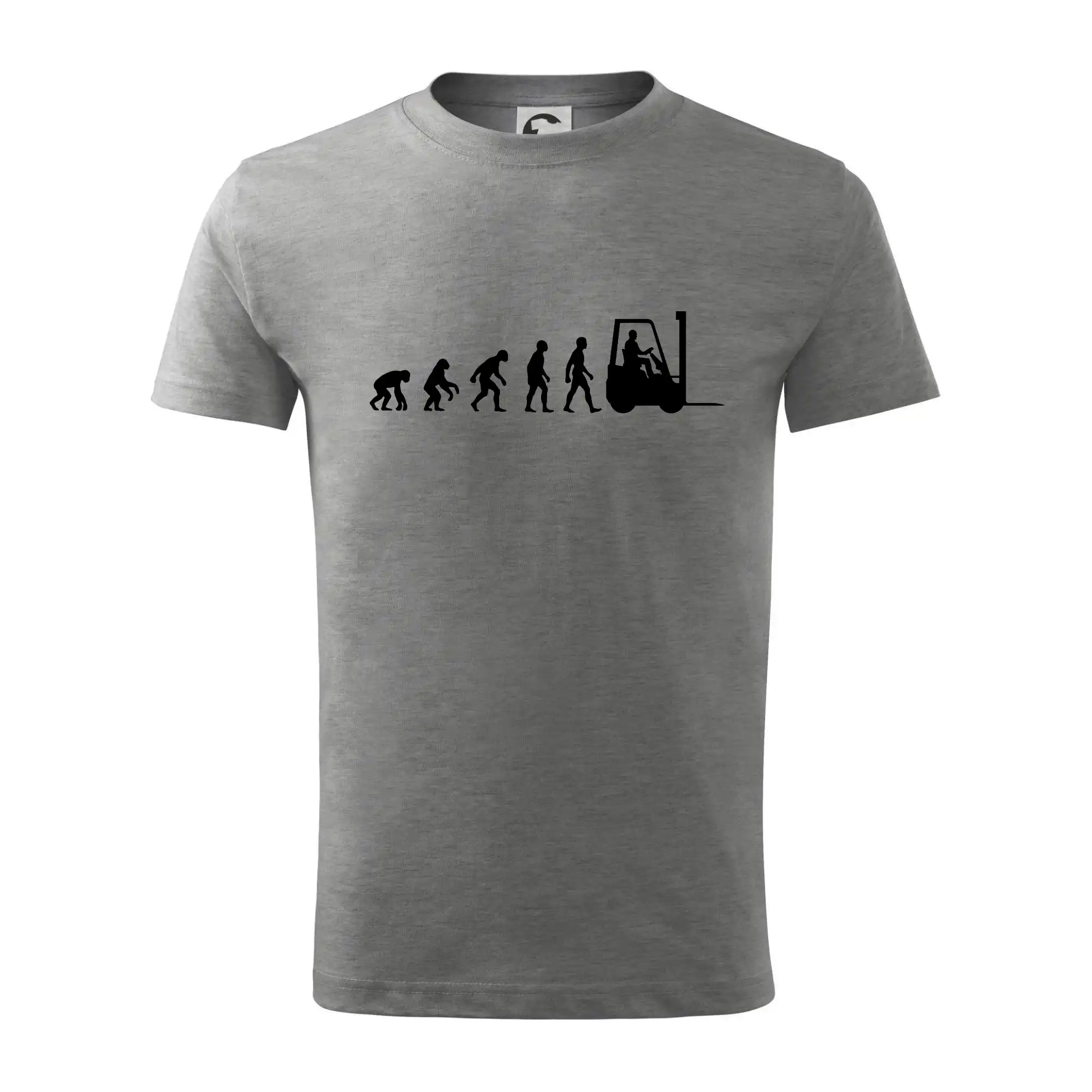 Evoluce ještěrka