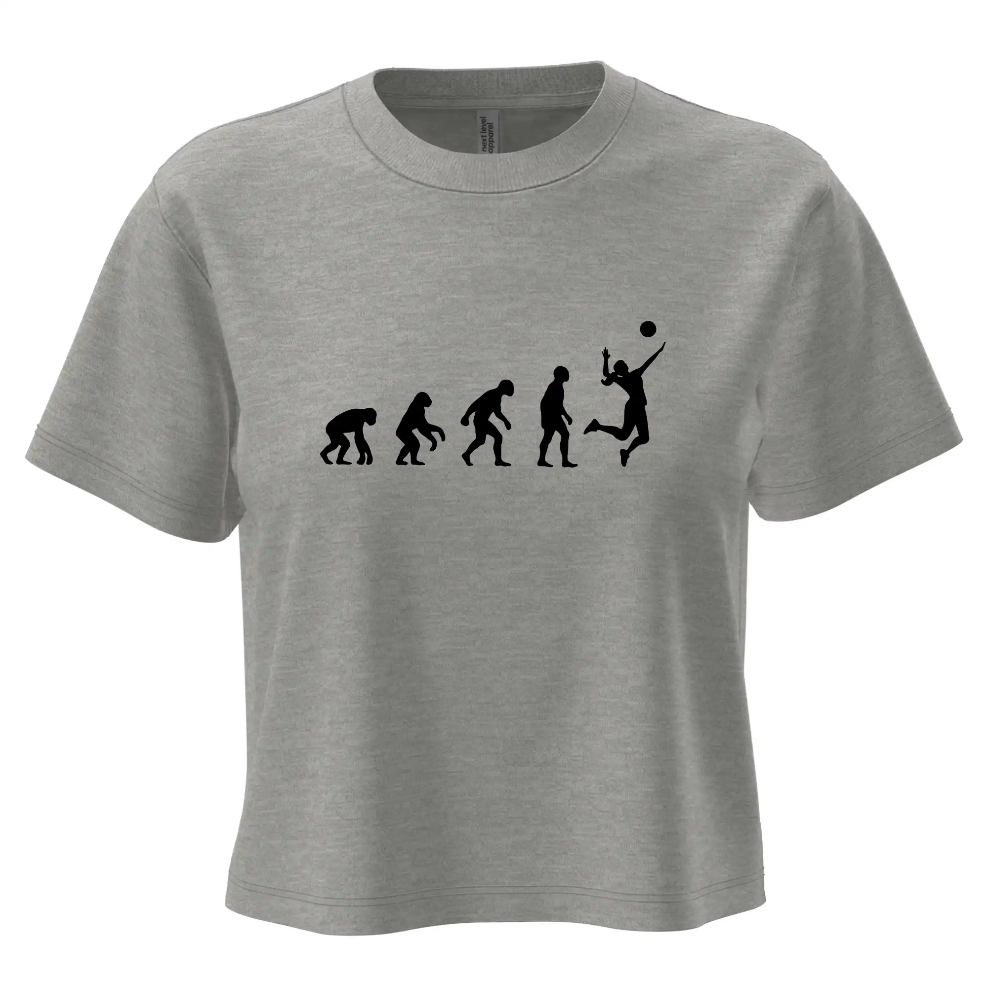 Evoluce volejbal culík