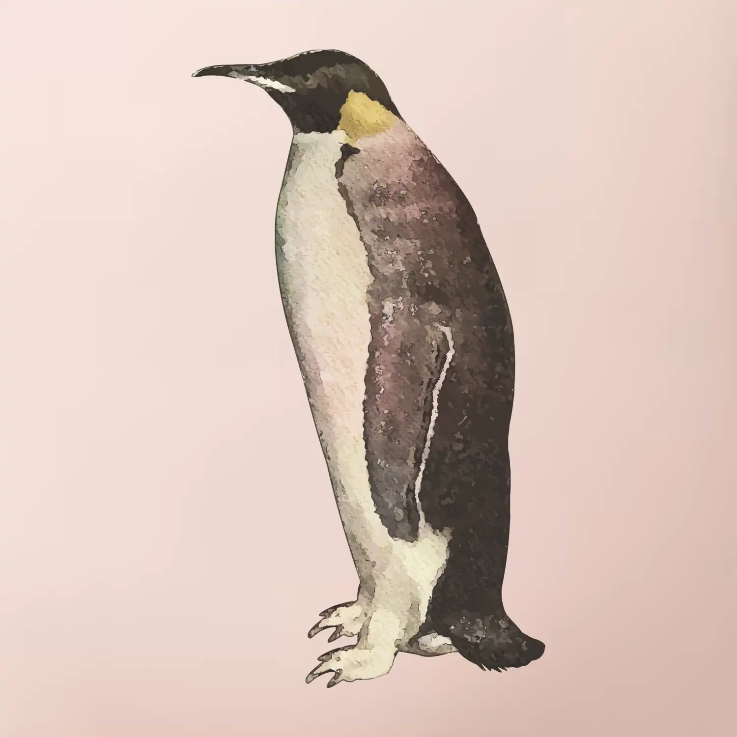 Tučňák kreslený vodovými barvami