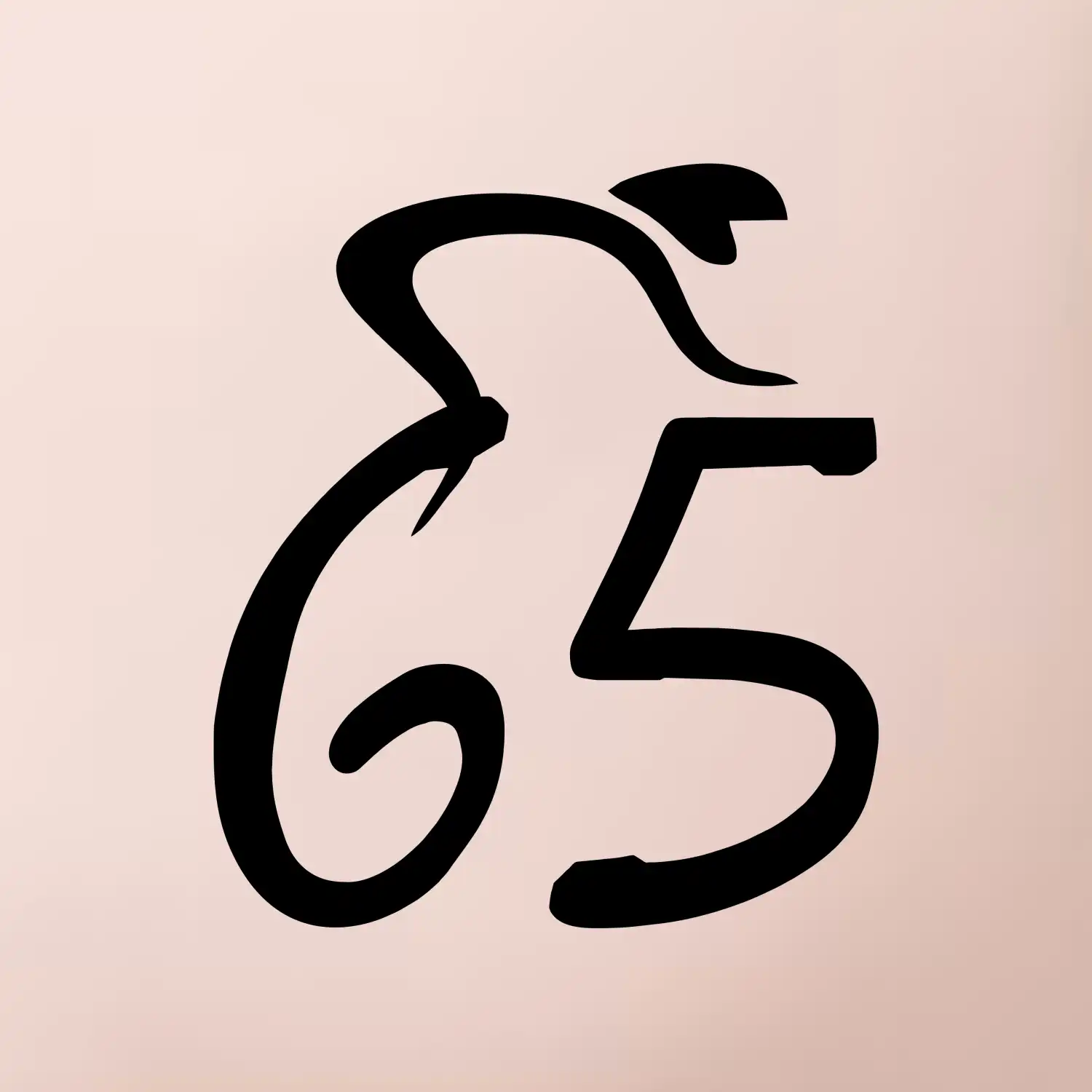 Cyklista slaví pětašedesátku (65)