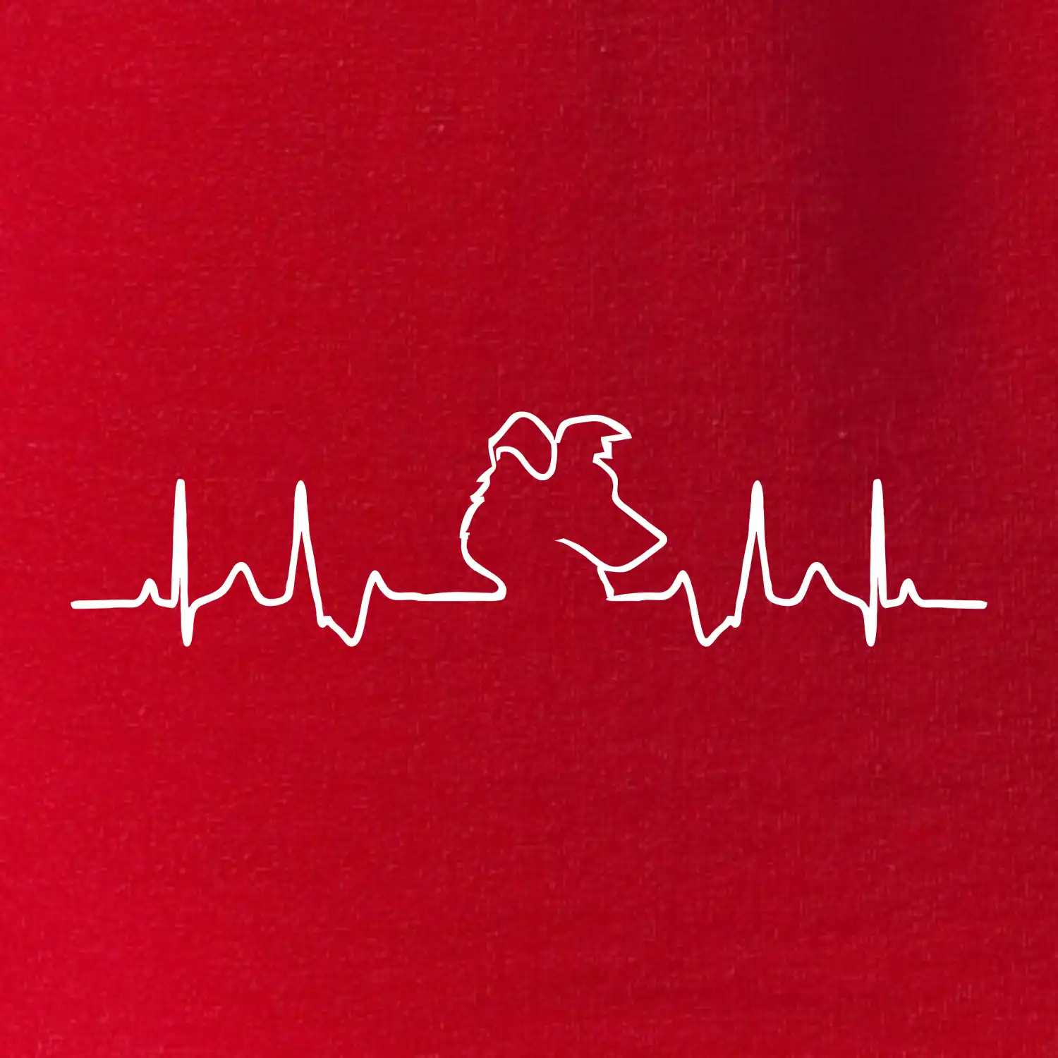 Borderská kólia EKG