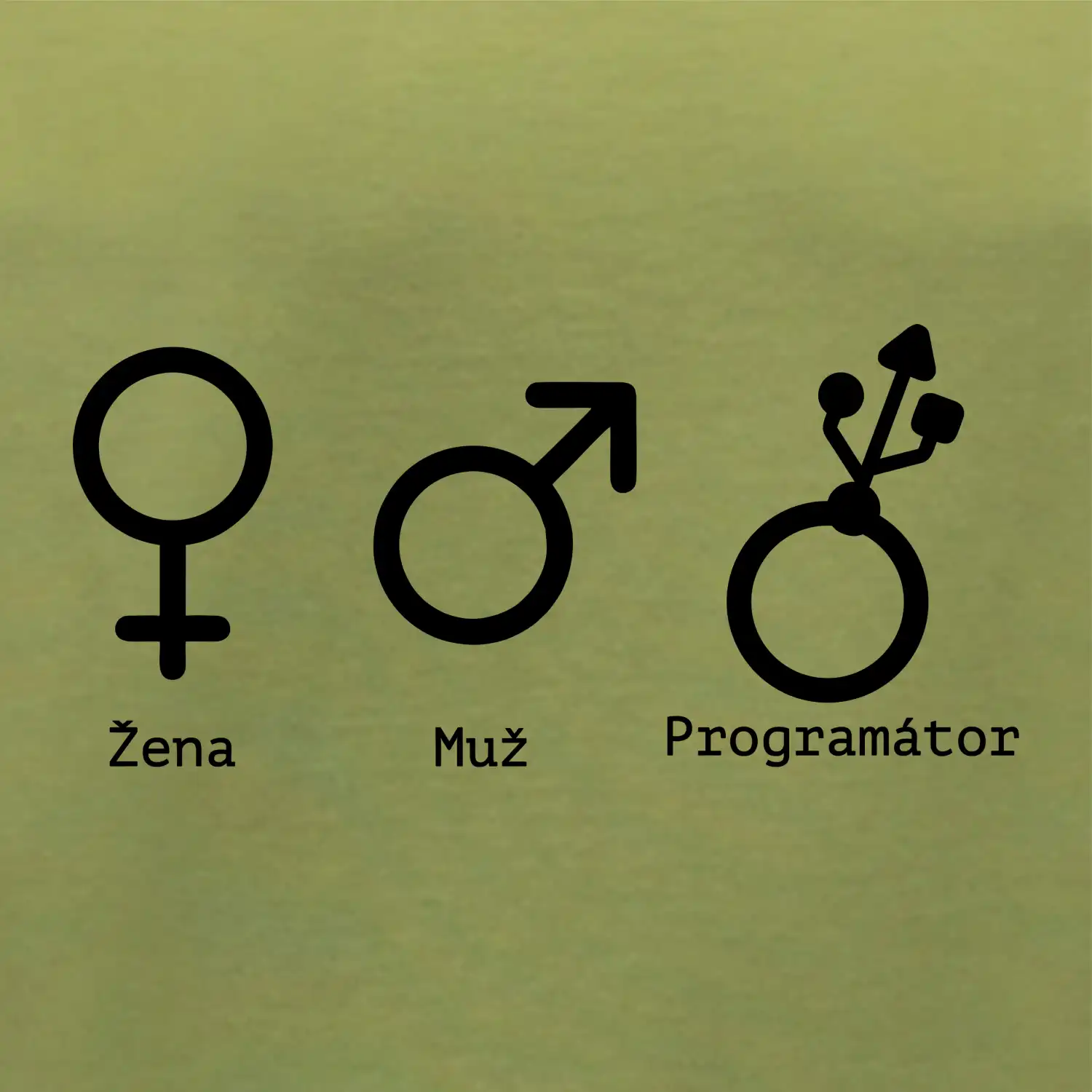 Muž žena programátor