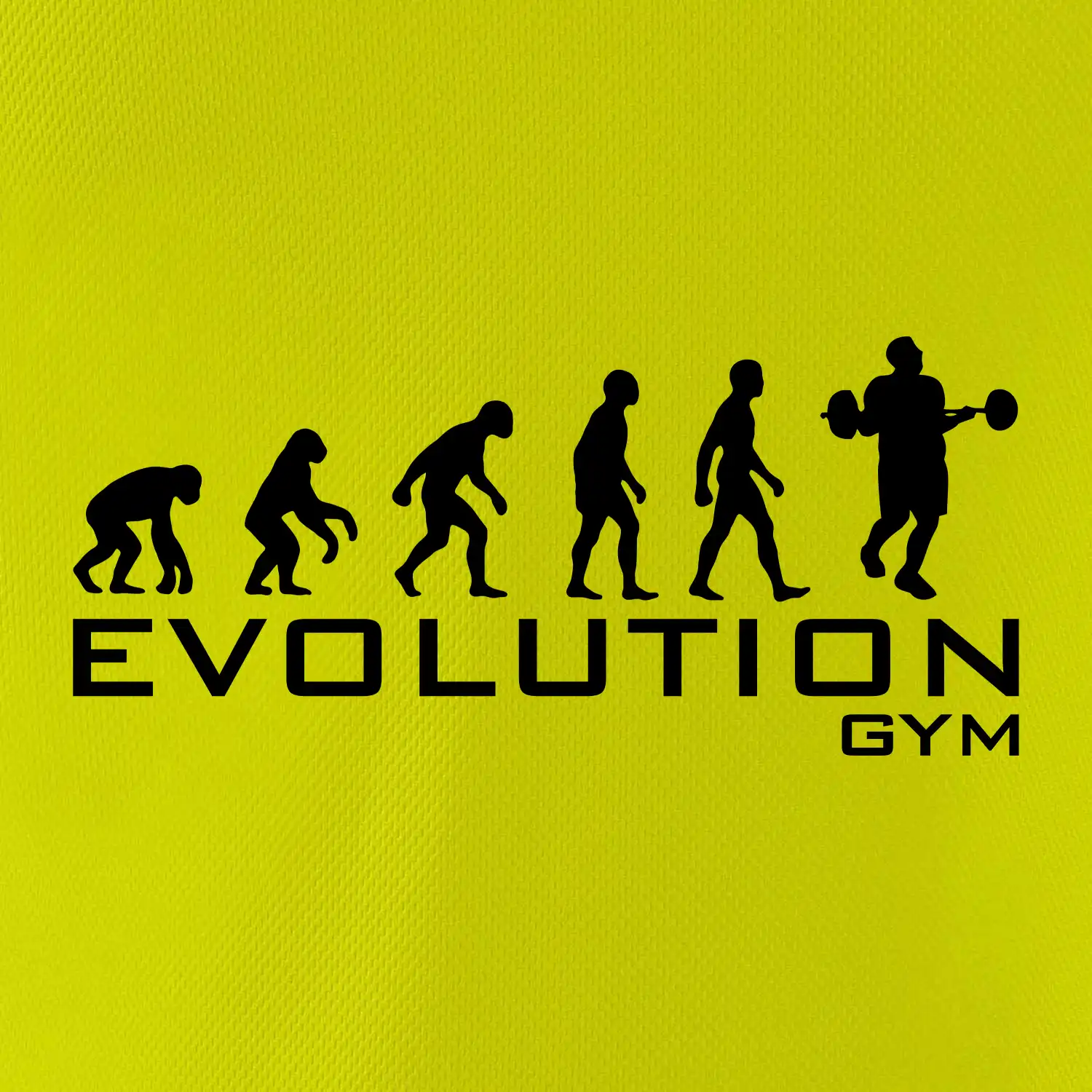 Evoluce Gym